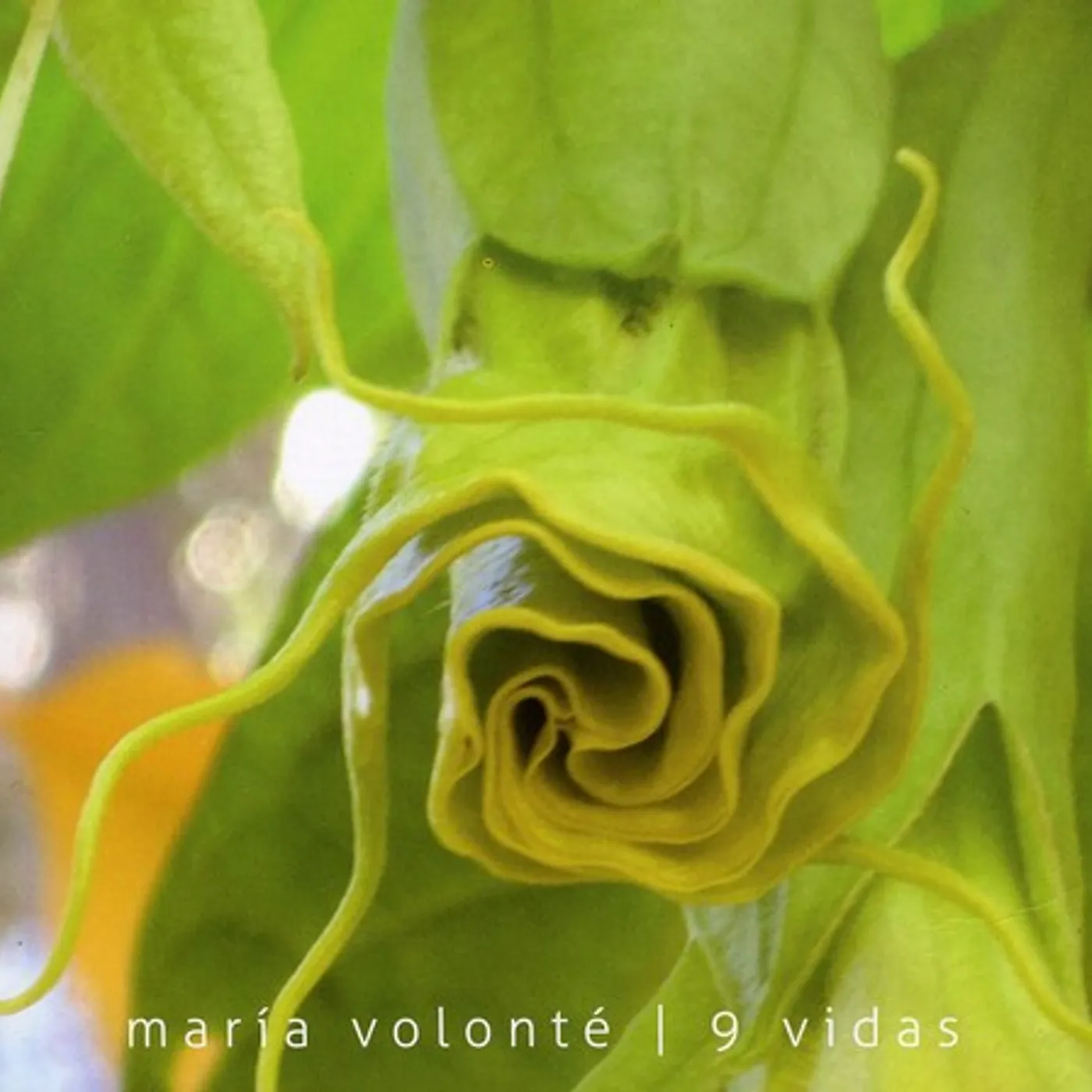 Maria Volonte 9 VIDAS CD