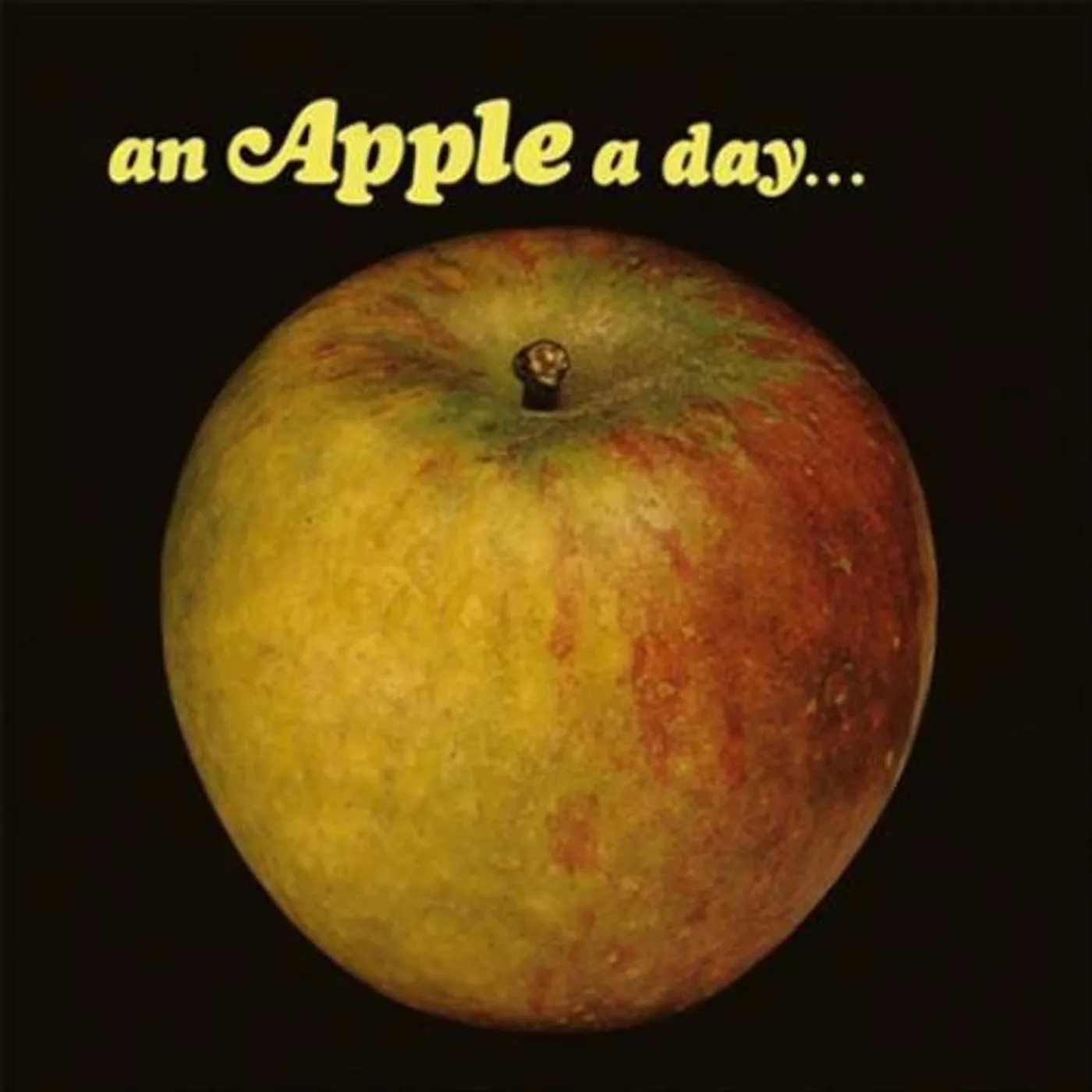 APPLE A DAY Vinyl Record