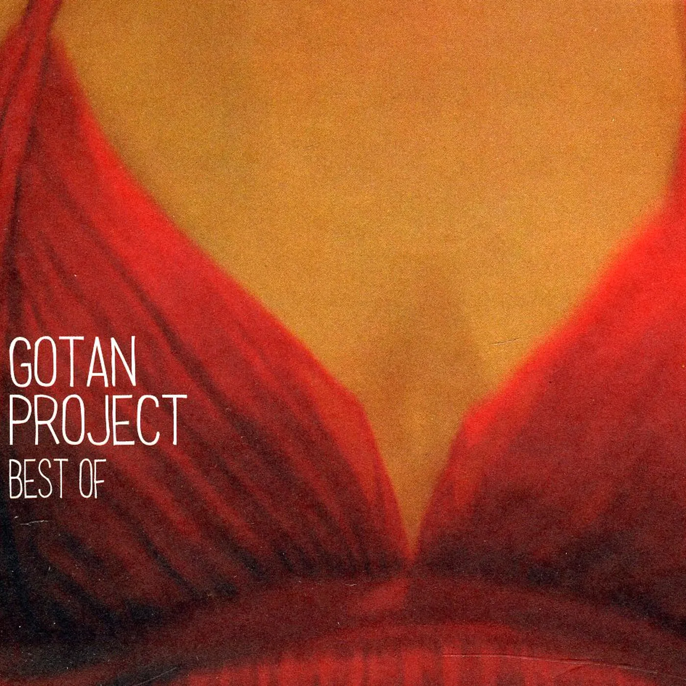 Gotan Project BEST OF CD