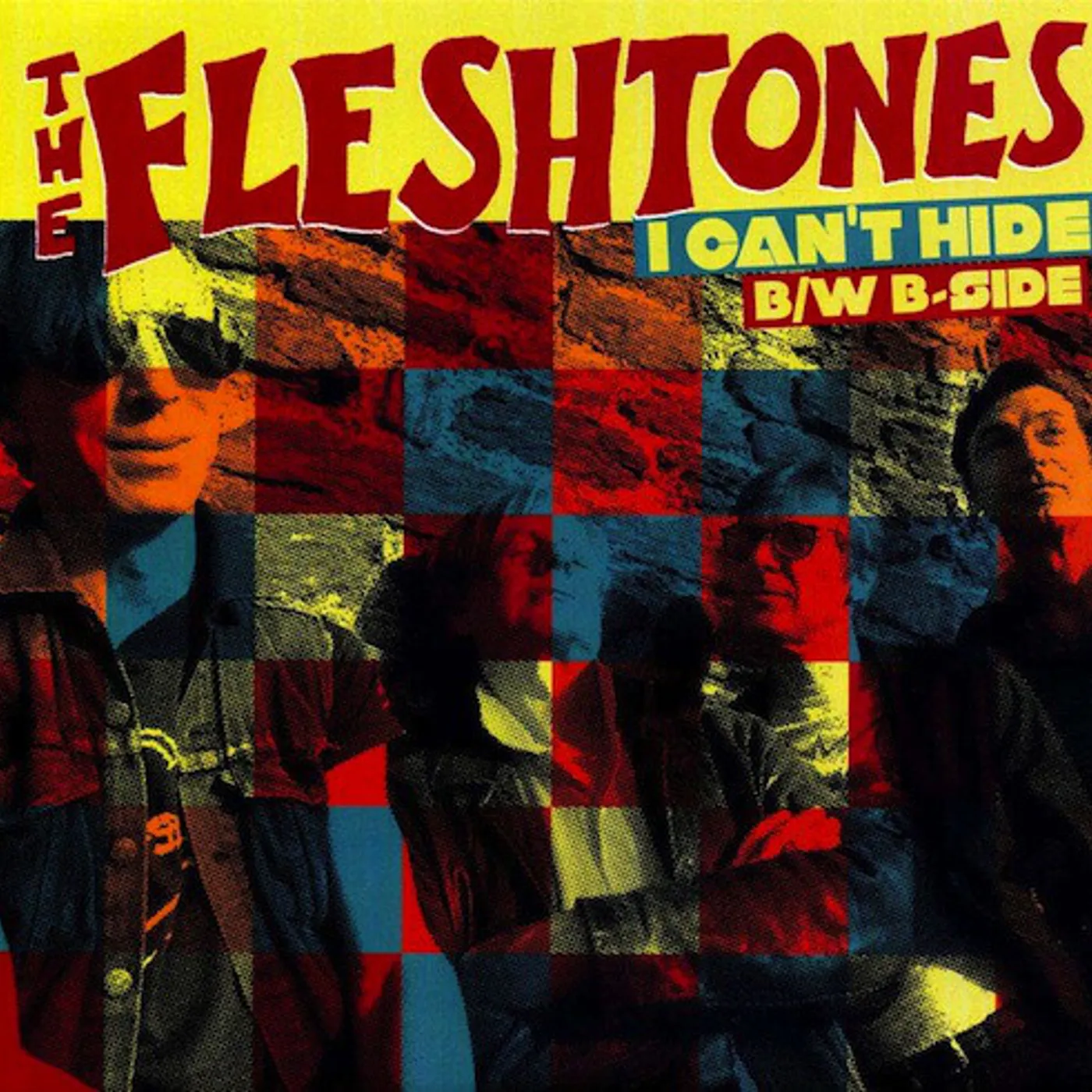The Fleshtones I CAN HIDE (Vinyl)