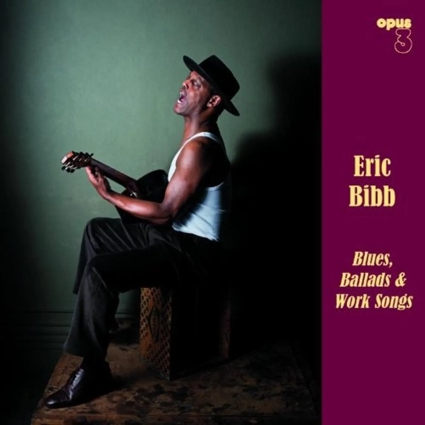 Eric Bibb BLUES BALLADS & WORK SONGS Vinyl Record