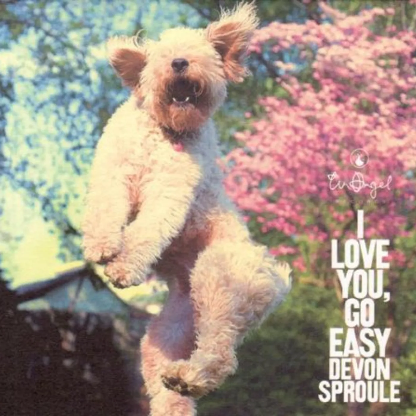 Devon Sproule I LOVE YOU GO EASY Vinyl Record