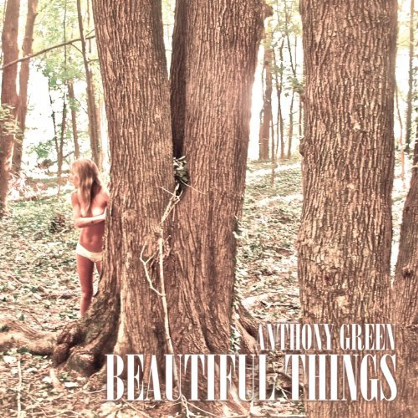 Anthony Green Beautiful Things Vinyl Record
