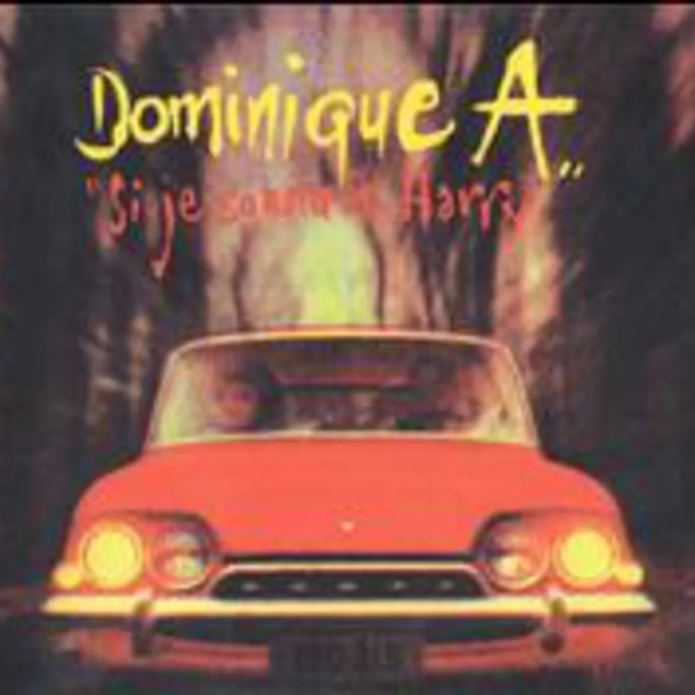 Dominique A SI JE CONNAIS HARRY CD