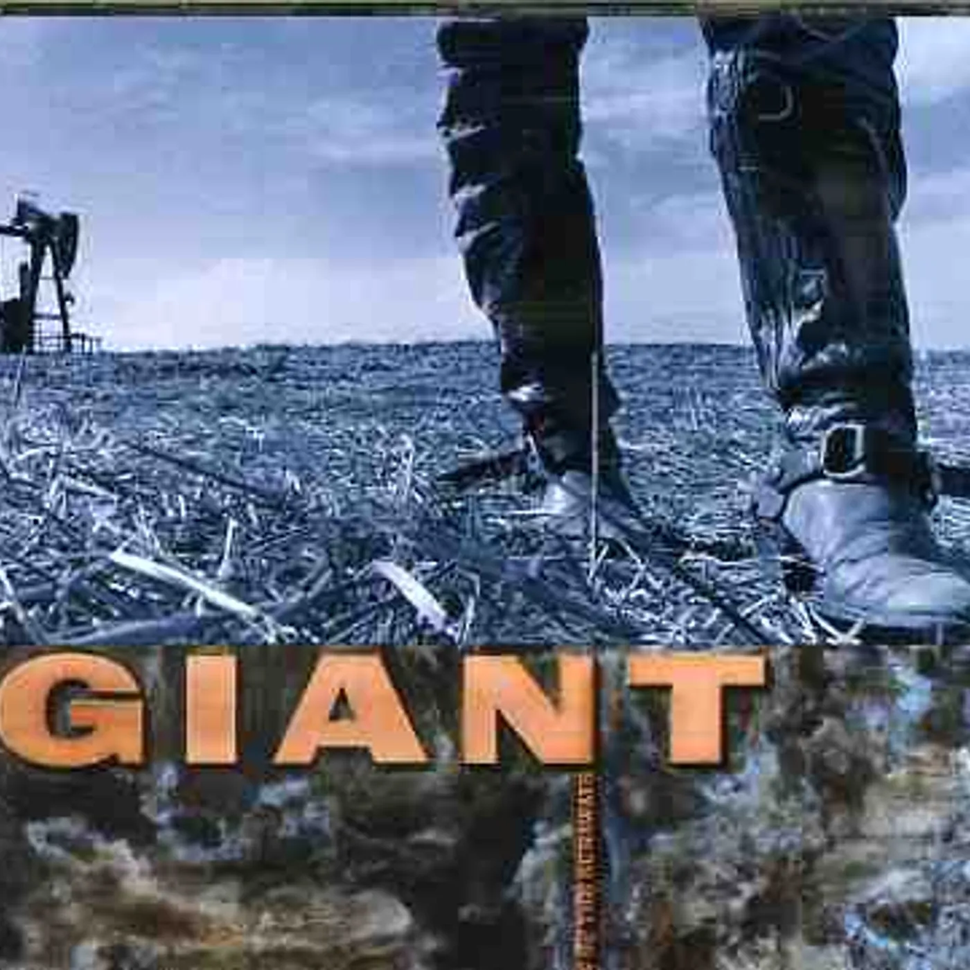 GIANT LAST OF THE RUNNAWAYS CD