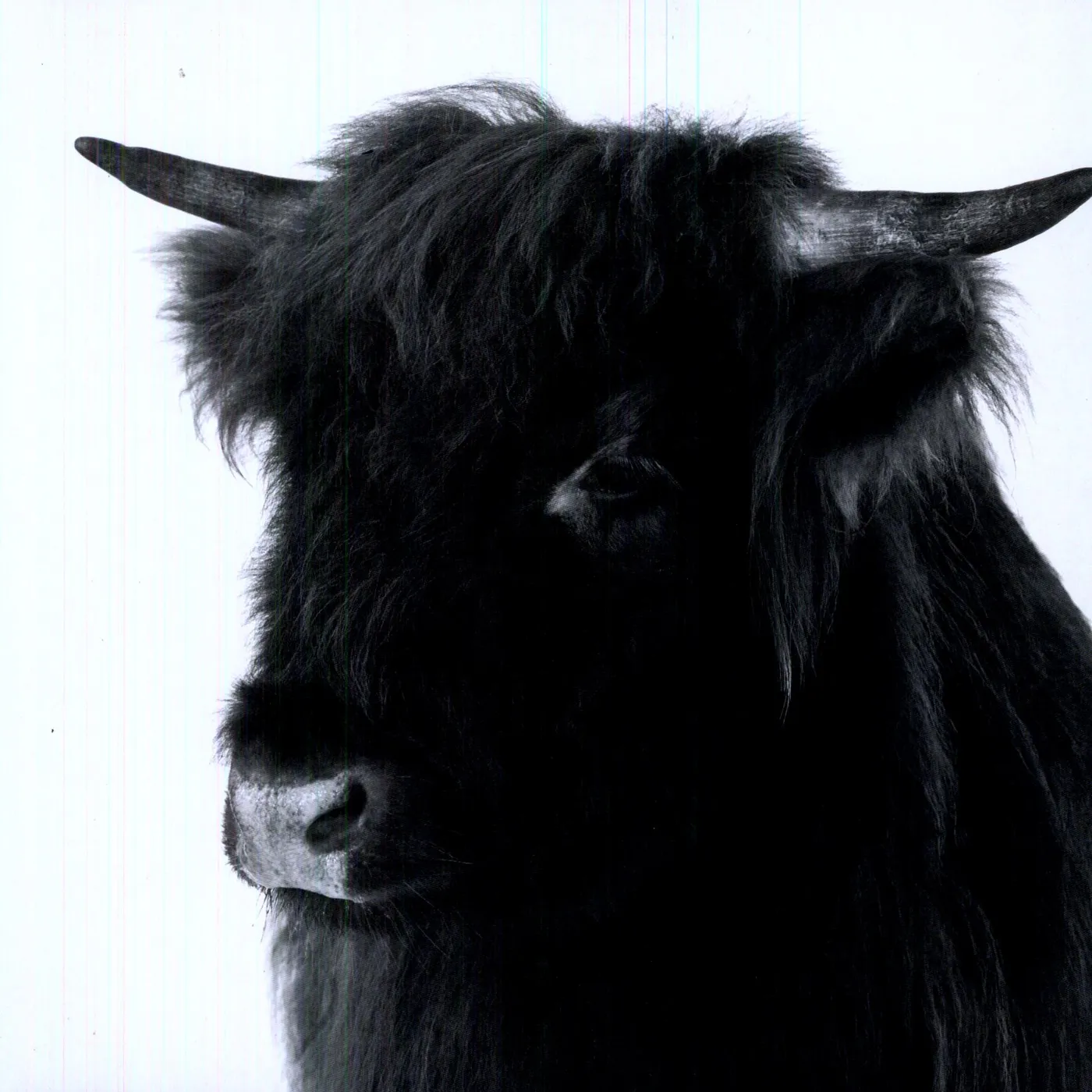 Rich Vom Dorf BLANKENFORDE Vinyl Record