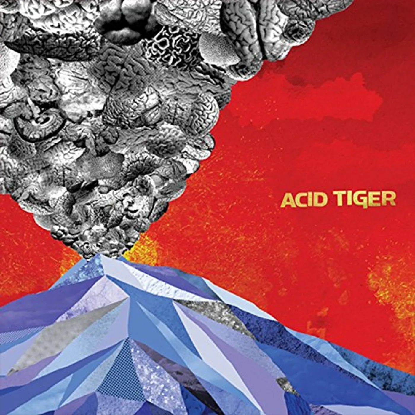 Acid Tiger Vinyl Record