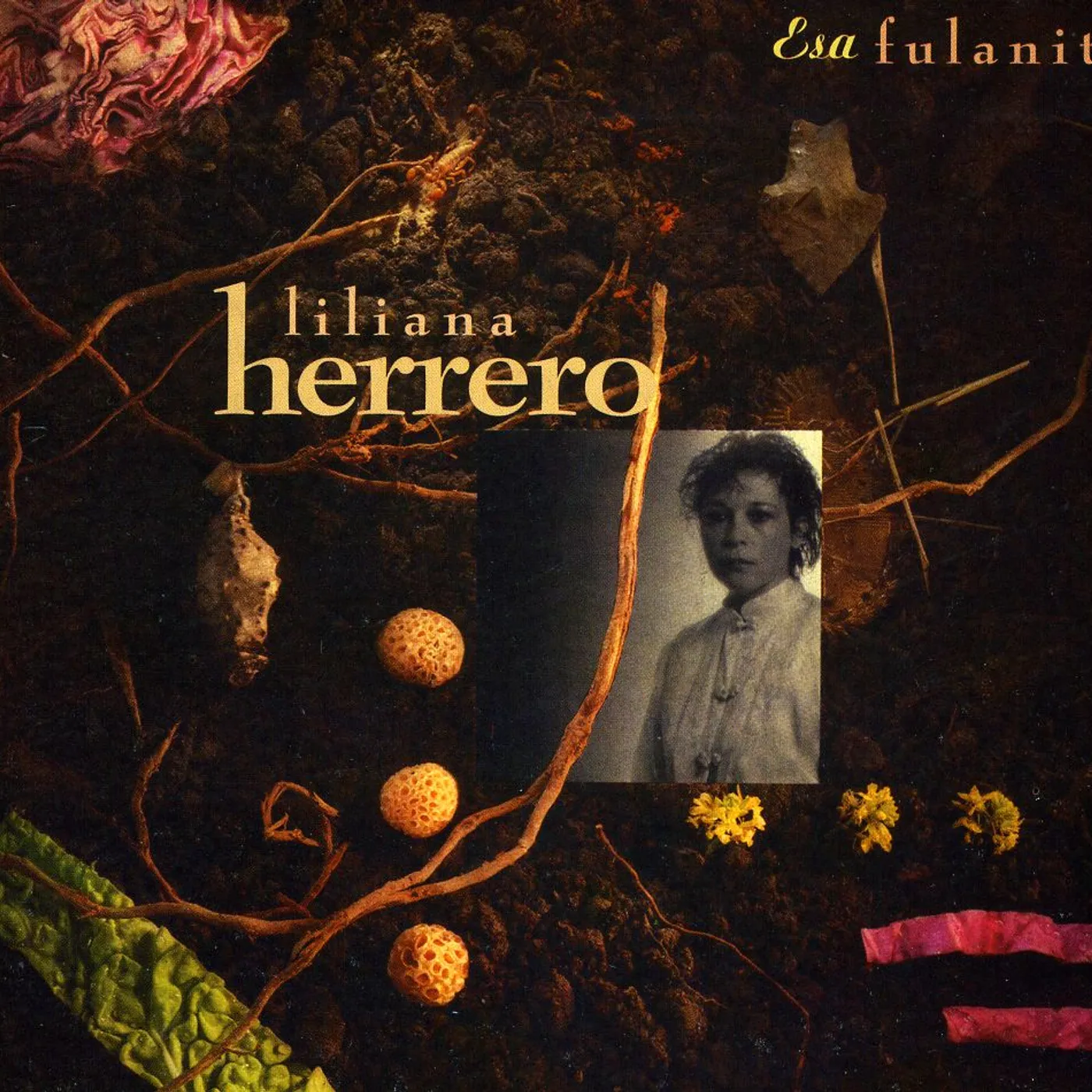 Liliana Herrero ESA FULANITA CD