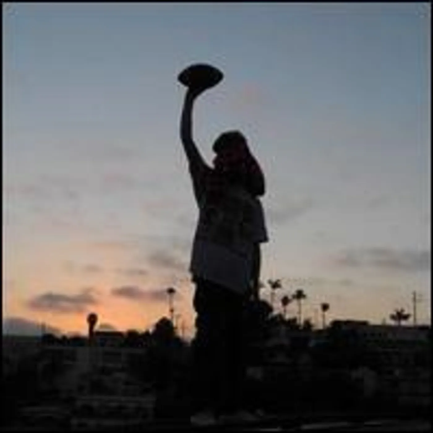 Heavy Hawaii Super Bowl XXIX Vinyl Record