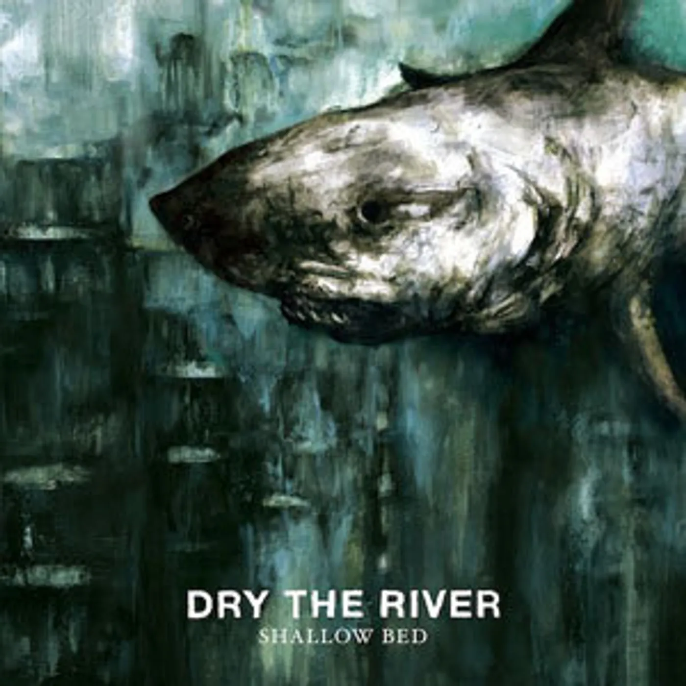 Dry the River SHALLOW BED CD