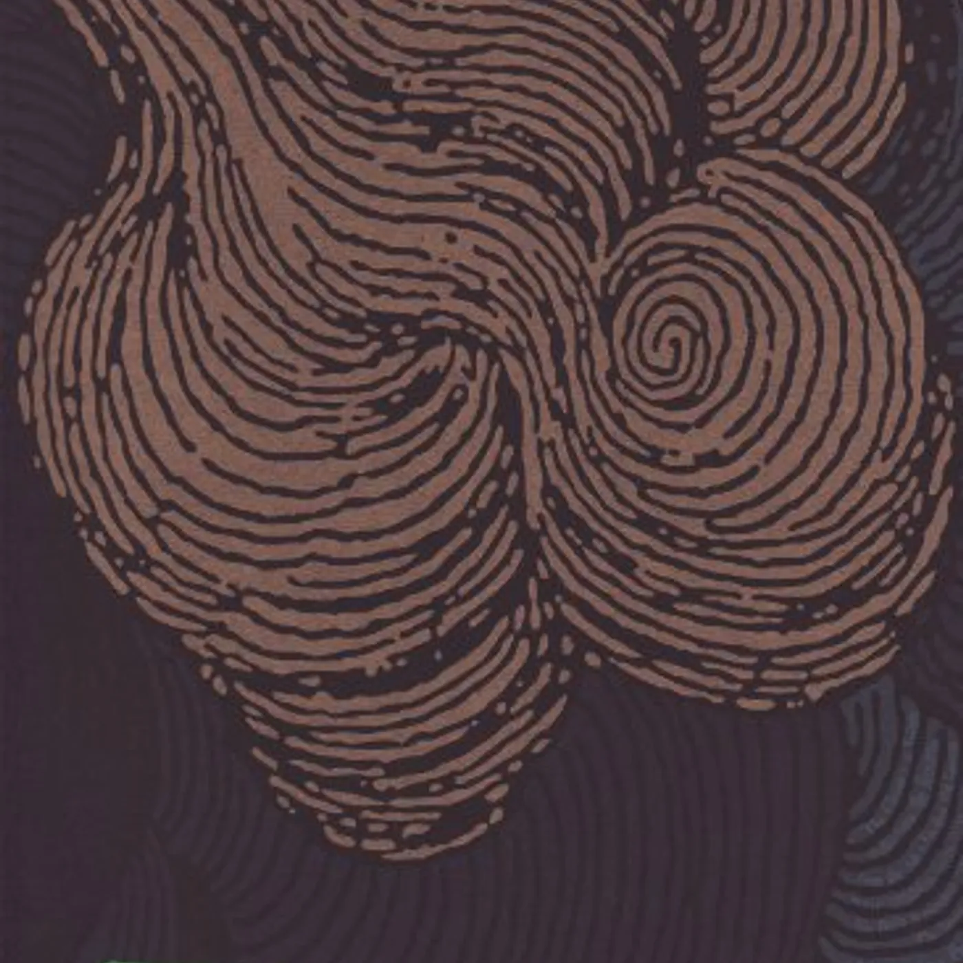 Burden HOLE IN THE SHELL Vinyl Record