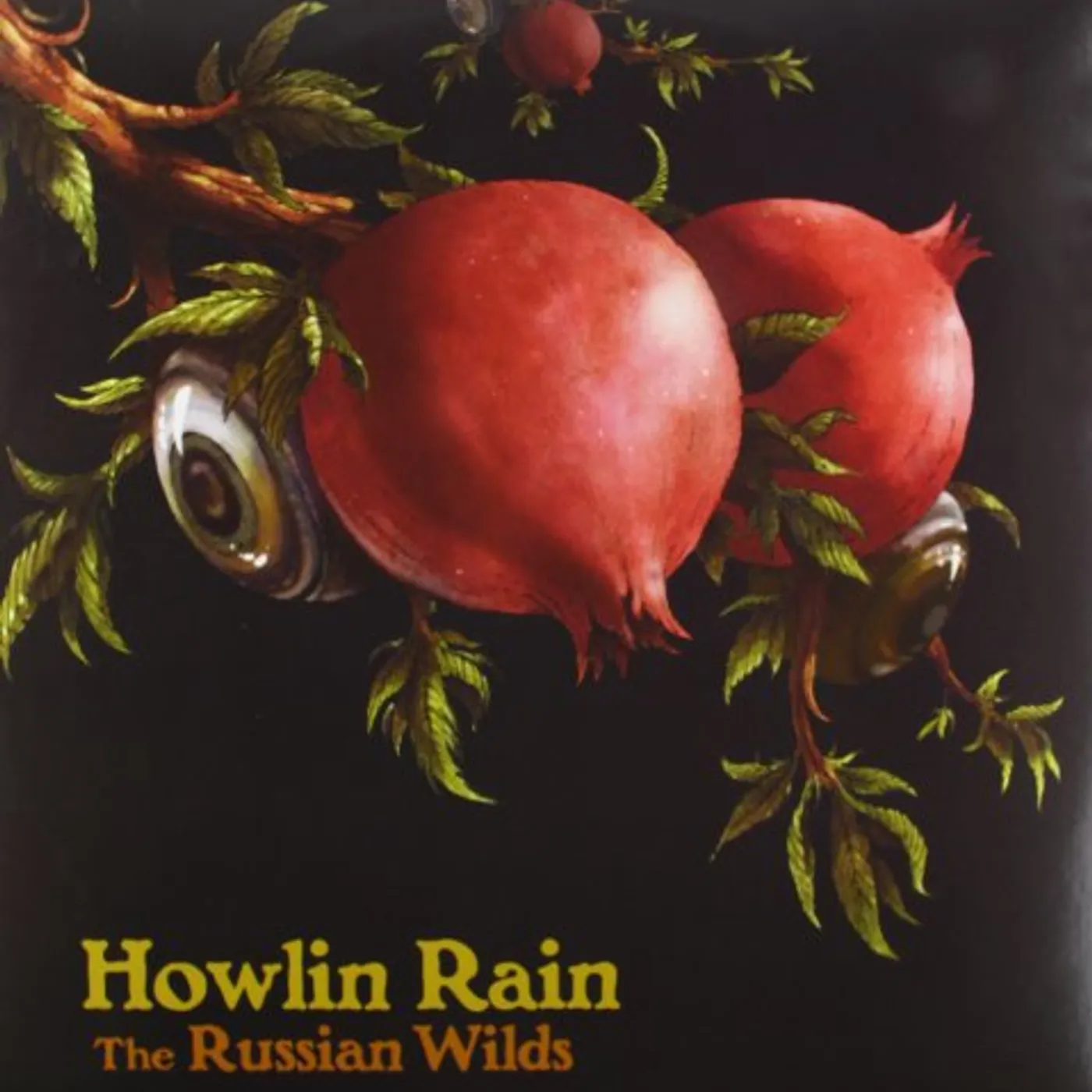 Howlin Rain RUSSIAN WILDS Vinyl Record