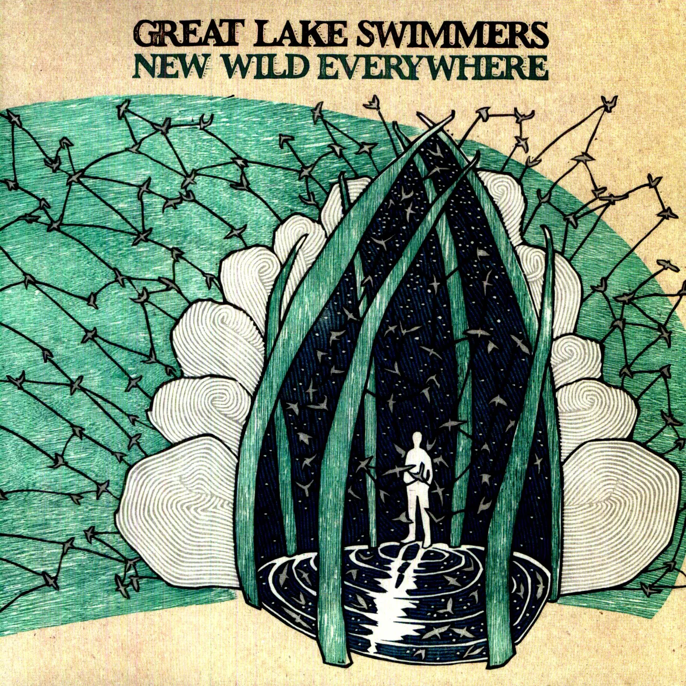Great Lake Swimmers New Wild Everywhere Vinyl Record