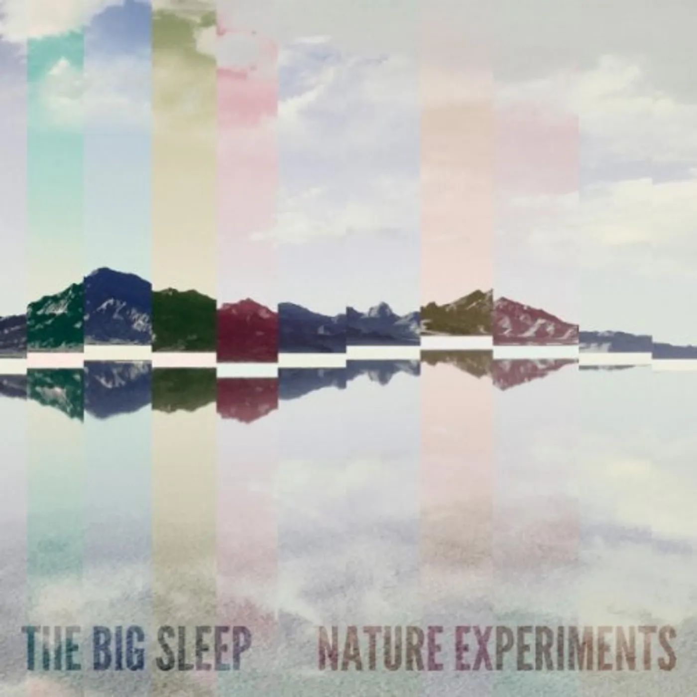 The Big Sleep Nature Experiments Vinyl Record