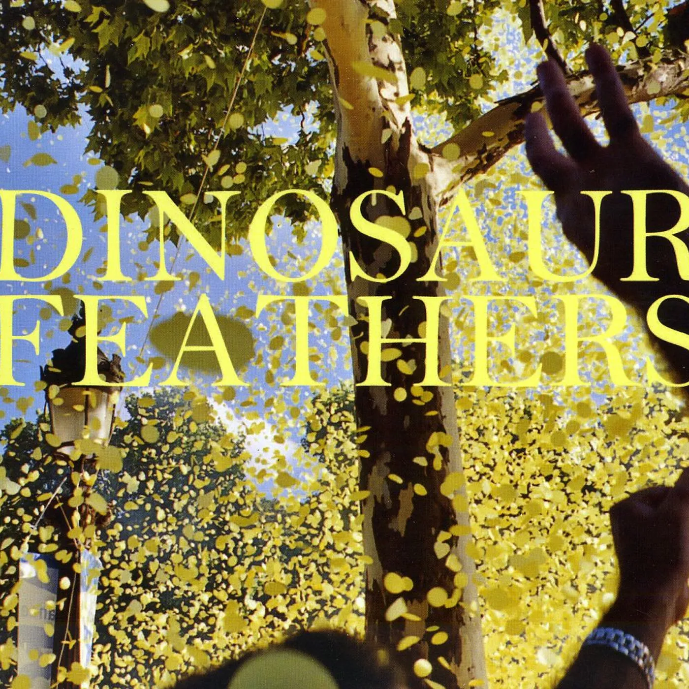 Dinosaur Feathers WHISTLE TIPS CD