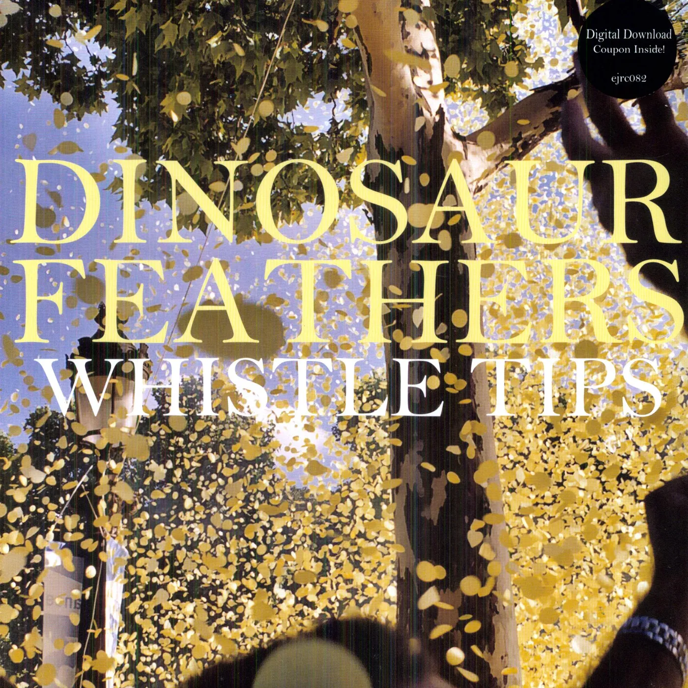 Dinosaur Feathers Whistle Tips Vinyl Record