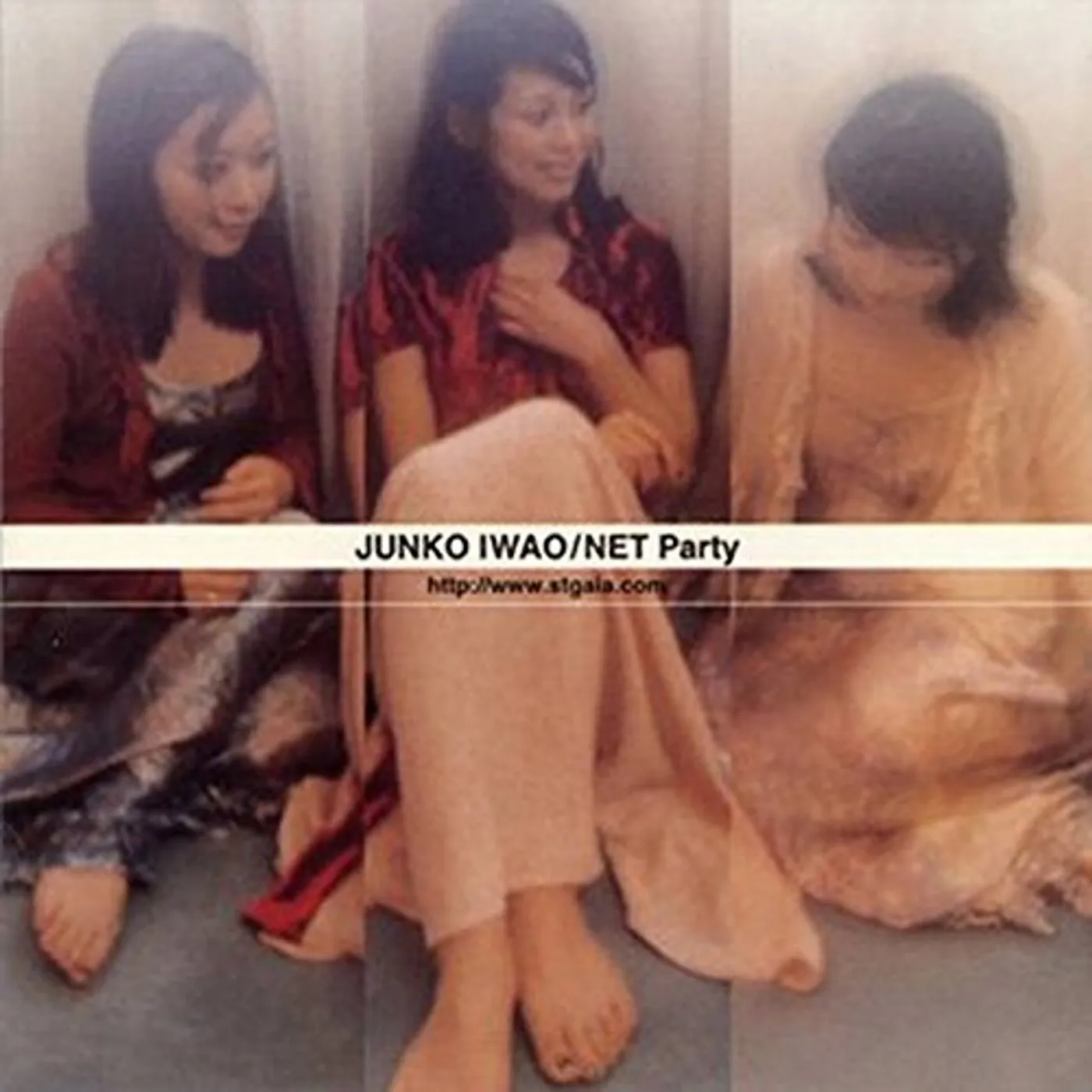Junko Iwao NET PARTY CD