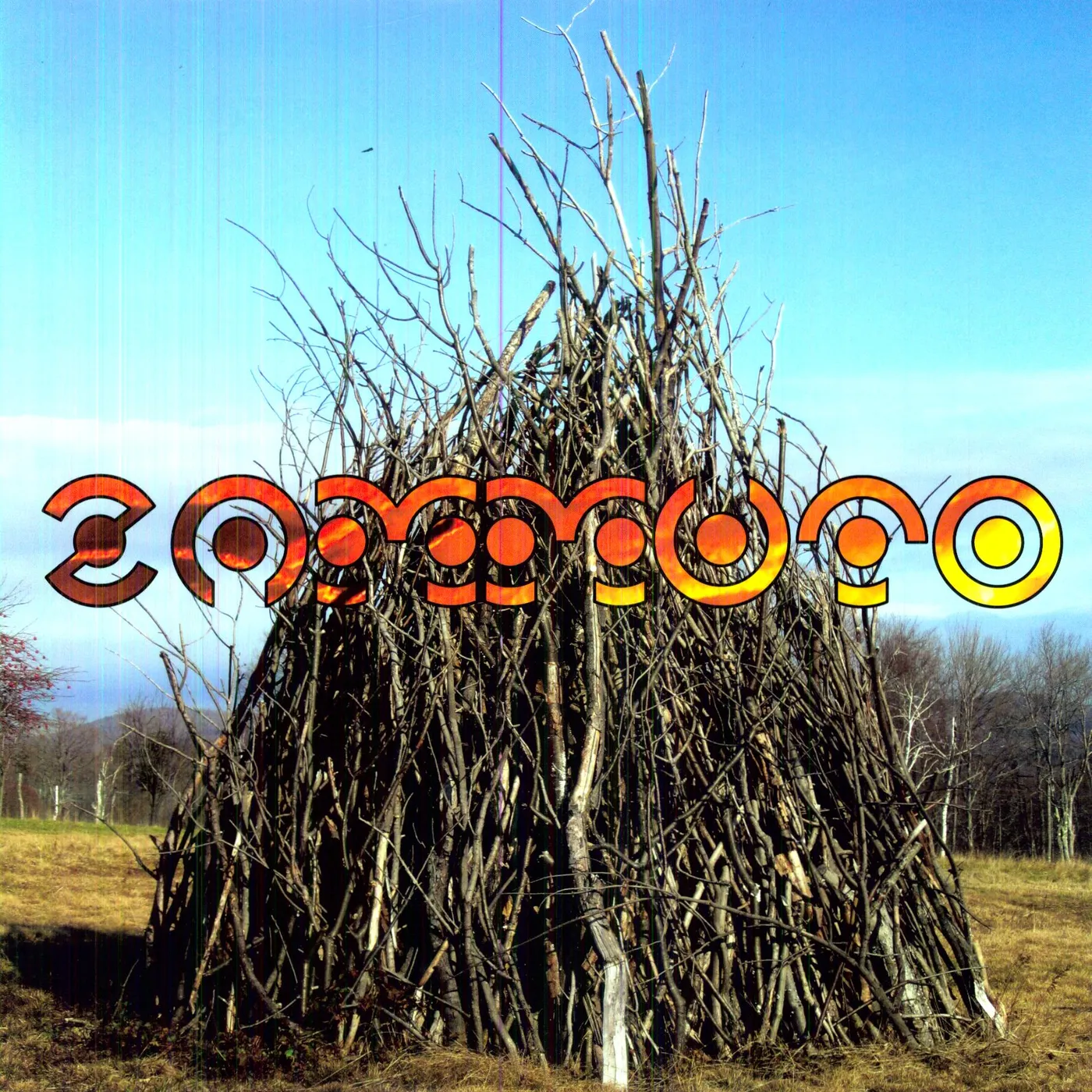 Zammuto Vinyl Record