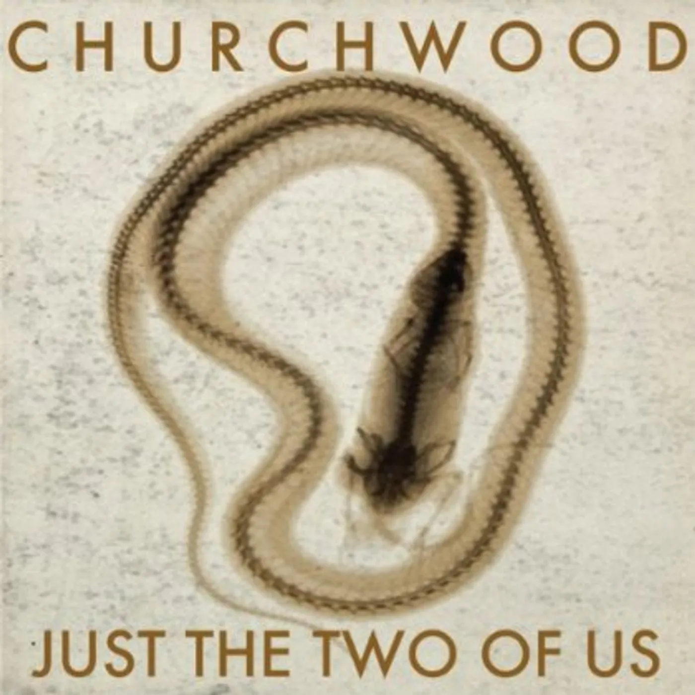 Churchwood Just The Two Of Us Vinyl Record