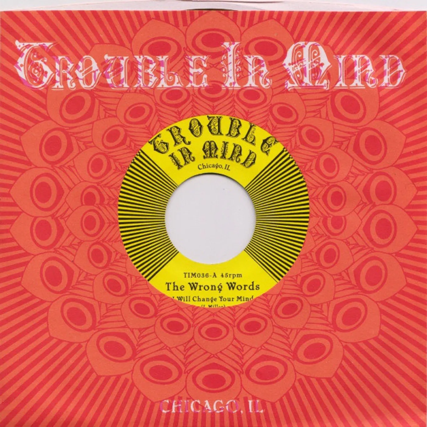 The Wrong Words I WILL CHANGE YOUR MIND Vinyl Record