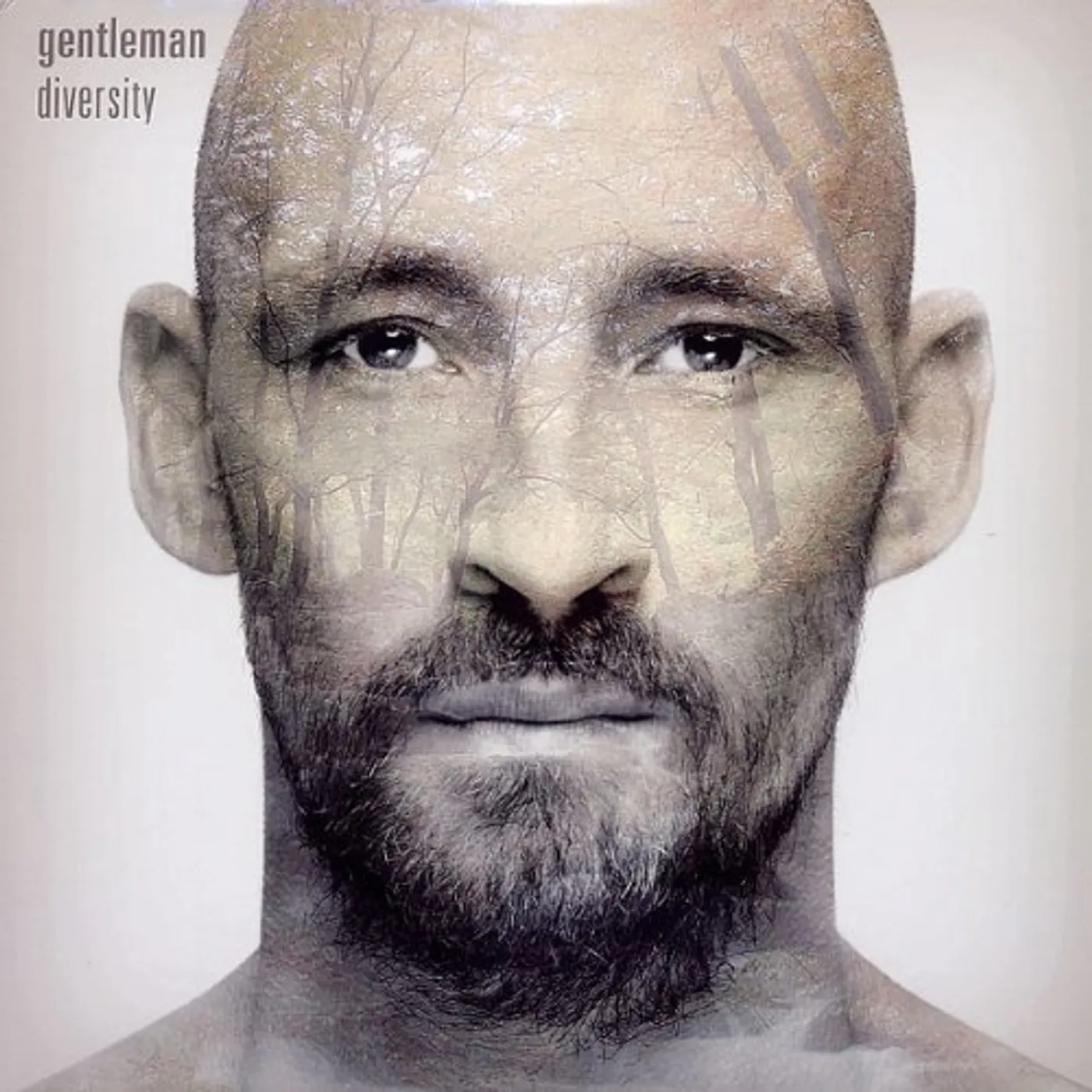 Gentleman Diversity Vinyl Record