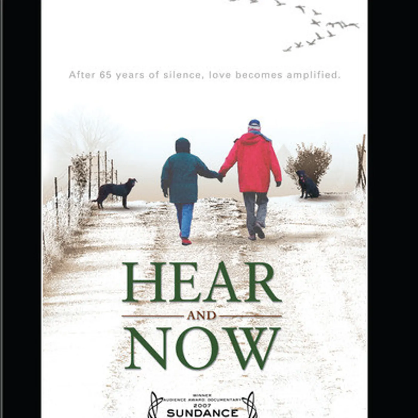 HEAR & NOW DVD