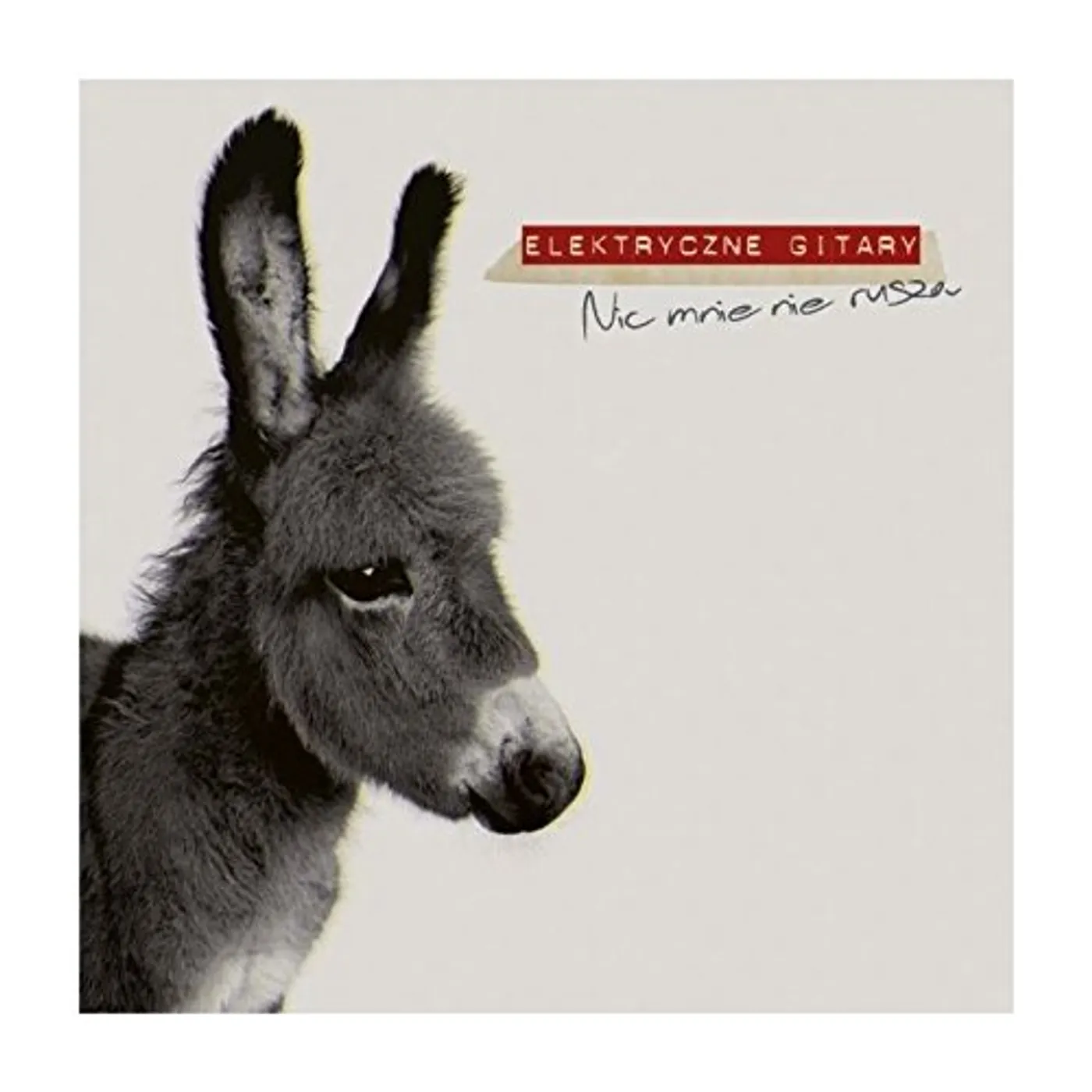 Elektryczne Gitary NIC MNIE NIE RUSZA CD