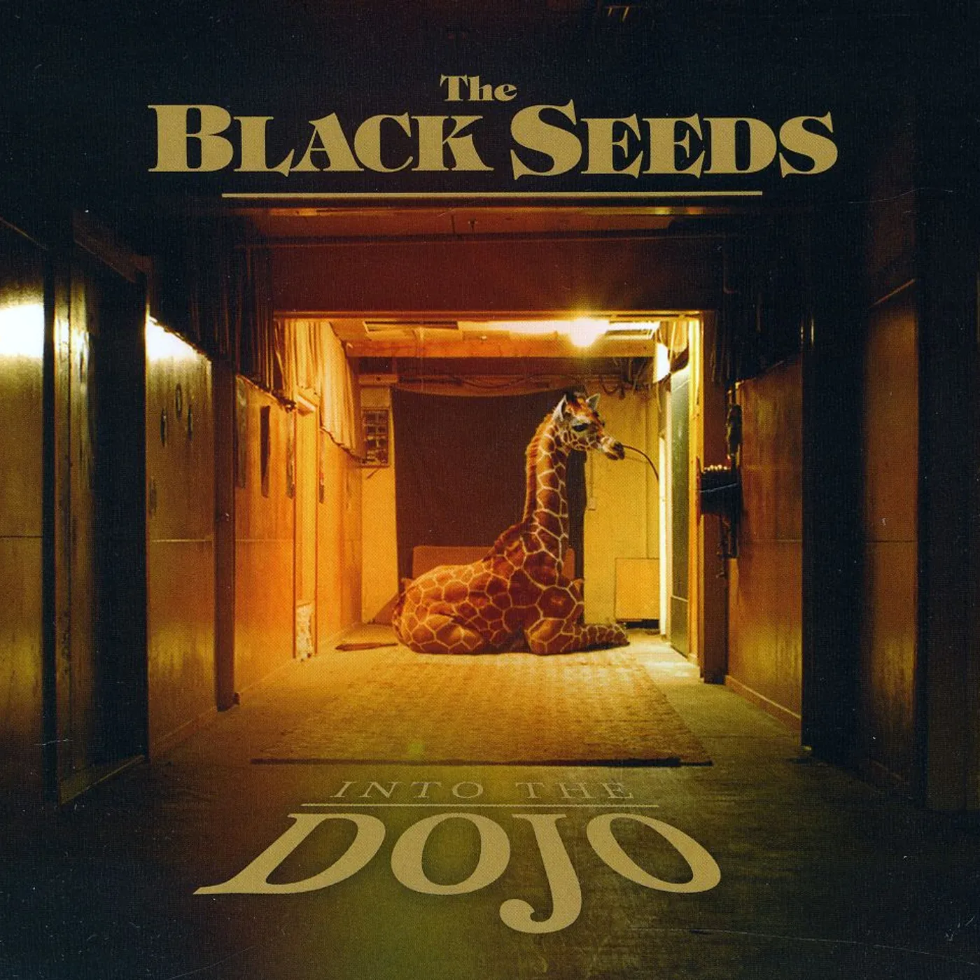 The Black Seeds INTO THE DOJO CD