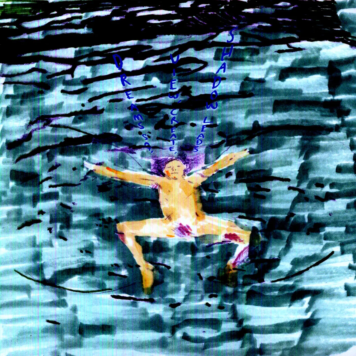 Dustin Wong DREAMS SAY VIEW CREATE SHADOW LEADS Vinyl Record