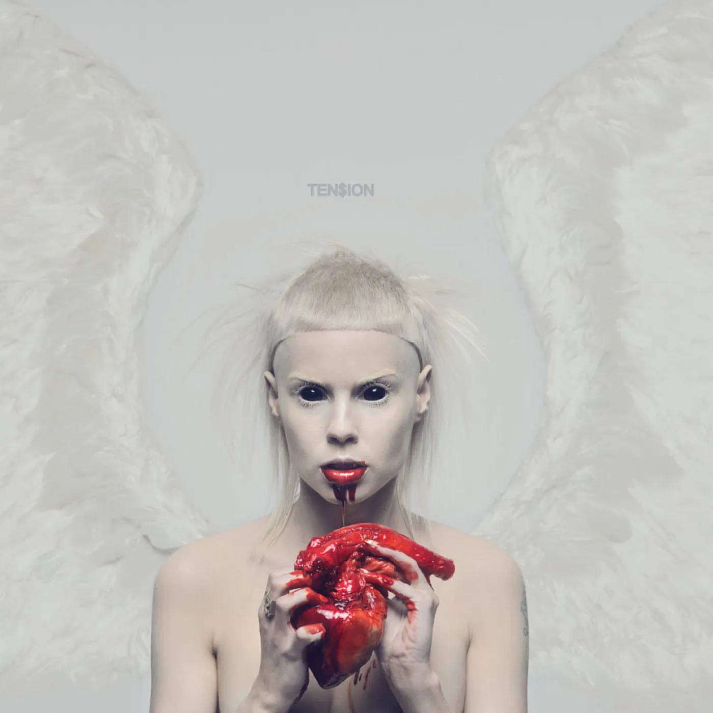 Die Antwoord Ten$ion Vinyl Record