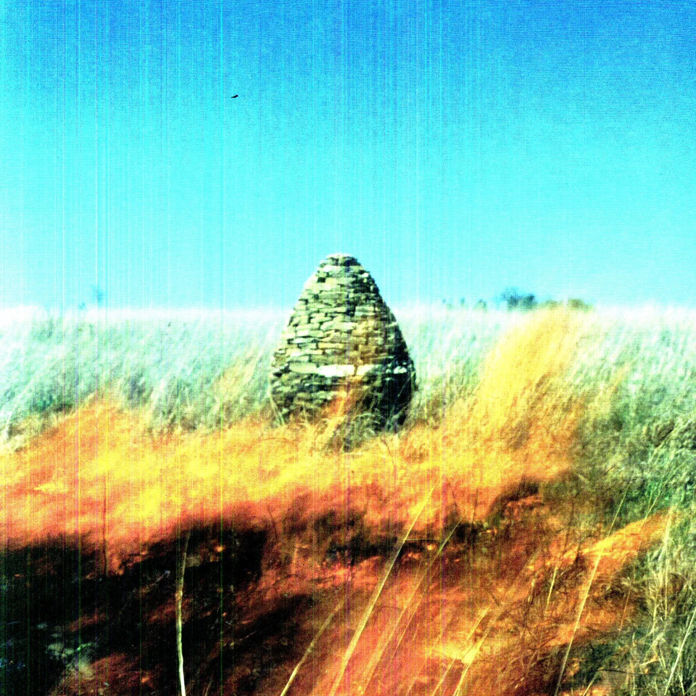 Maccabees Given To The Wild Vinyl Record