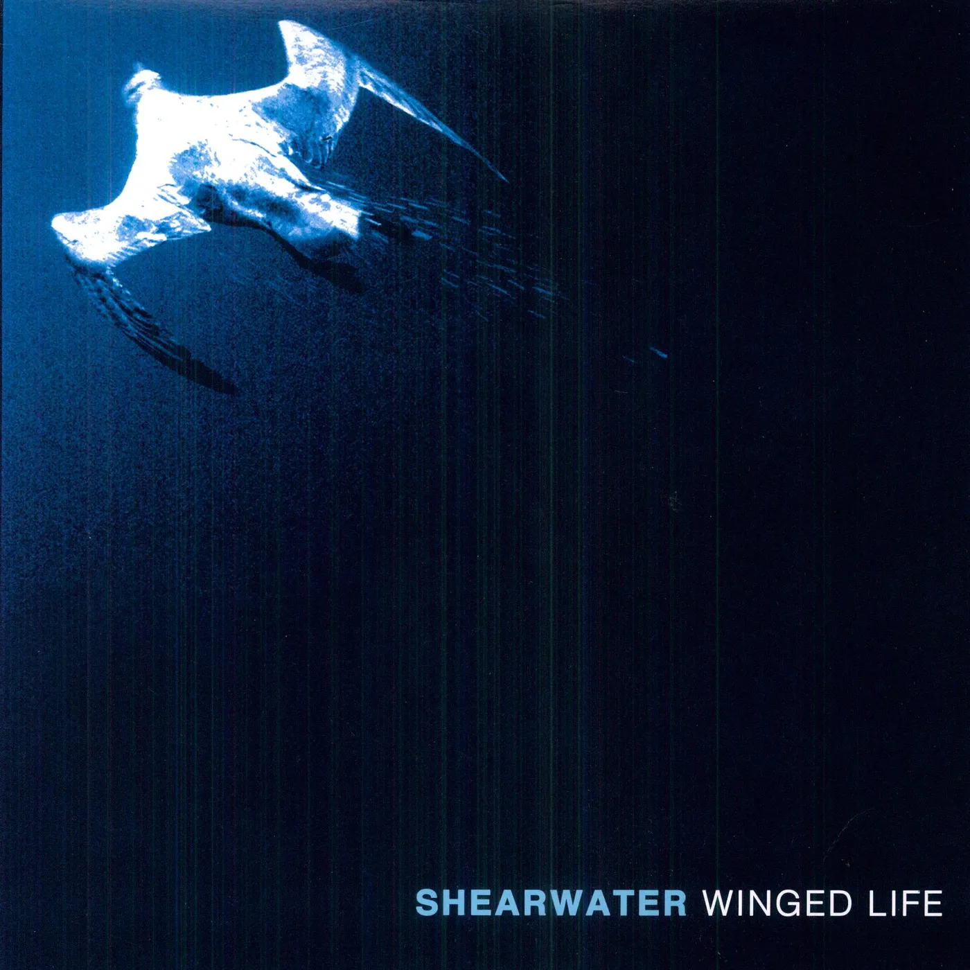 Shearwater Winged Life Vinyl Record