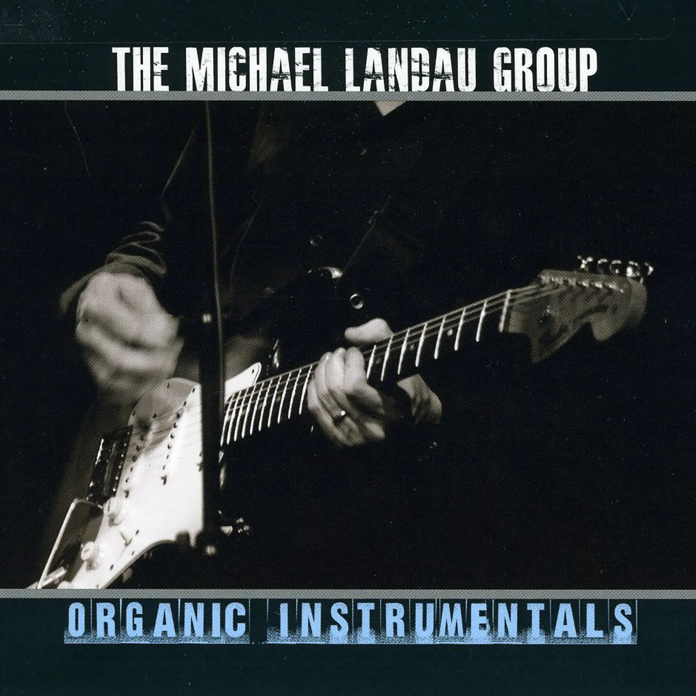 Michael Landau ORGANIC INSTRUMENTALS CD