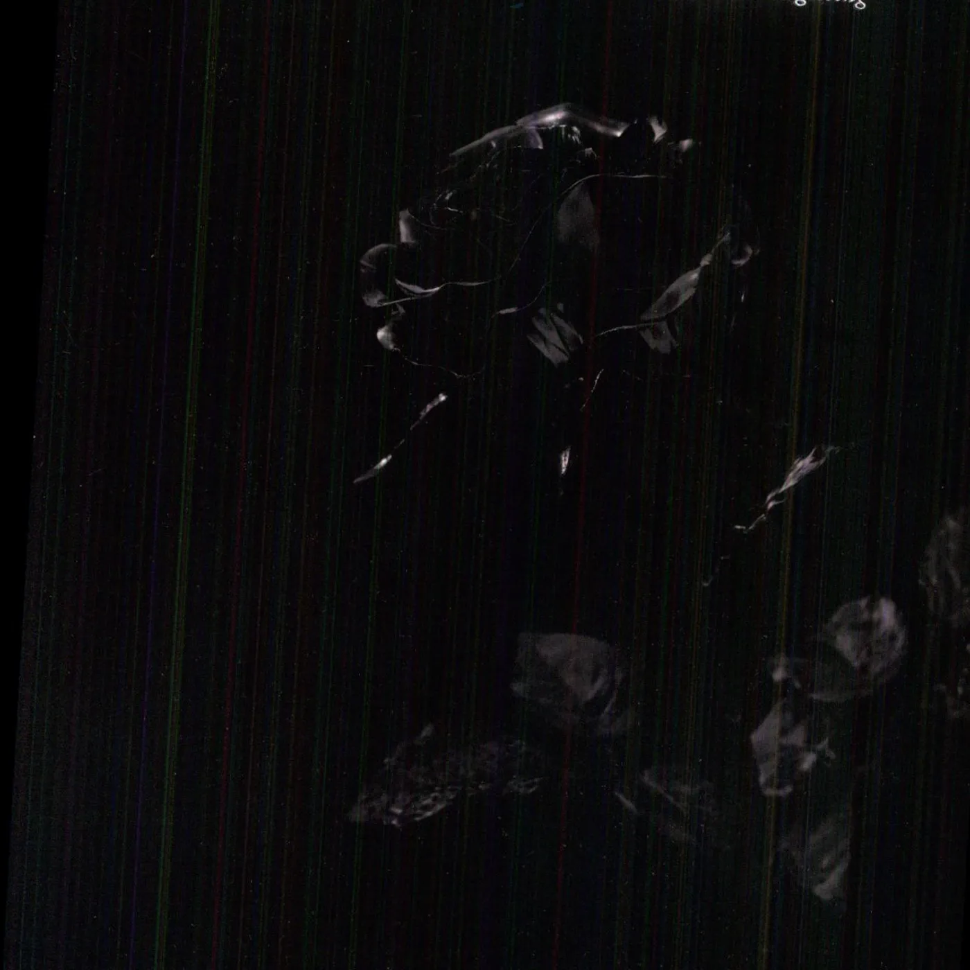 Islands SLEEP & A FORGETTING Vinyl Record