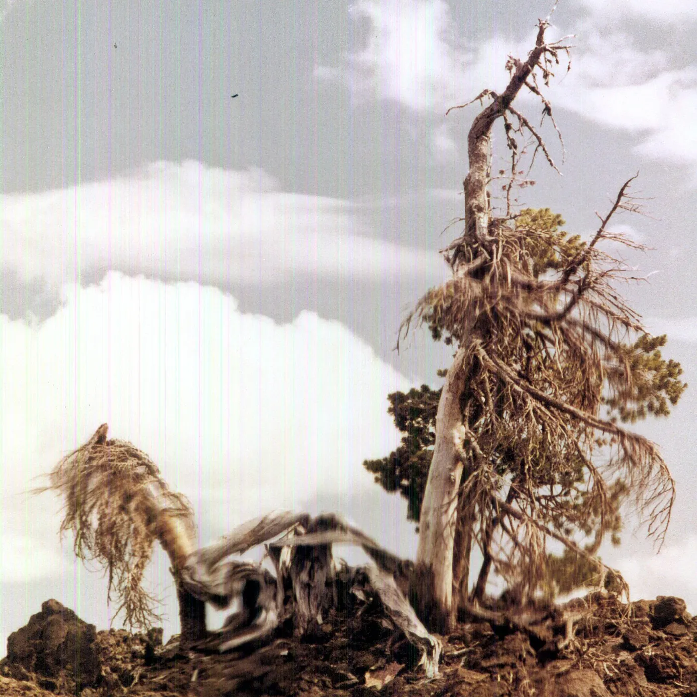 People Of The North SLEEP FORMATIONS Vinyl Record