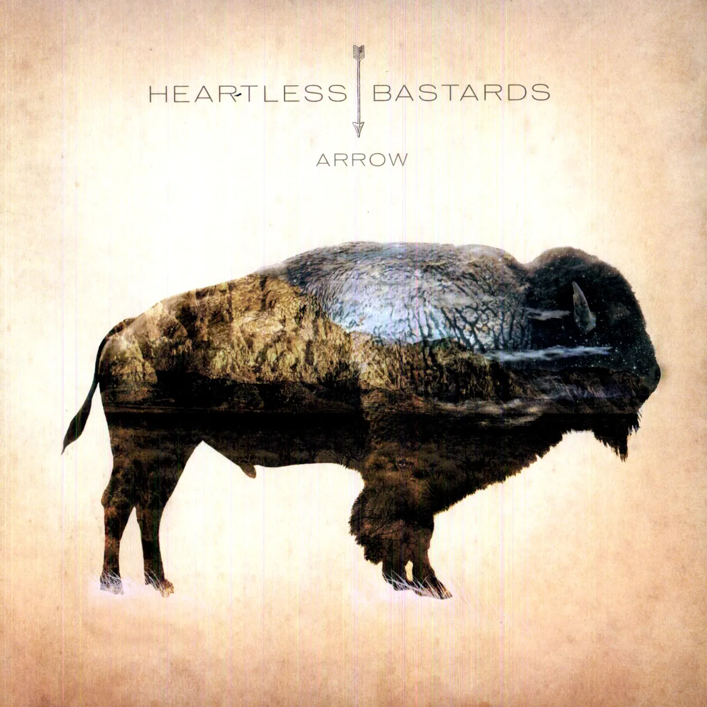 Heartless Bastards Arrow Vinyl Record