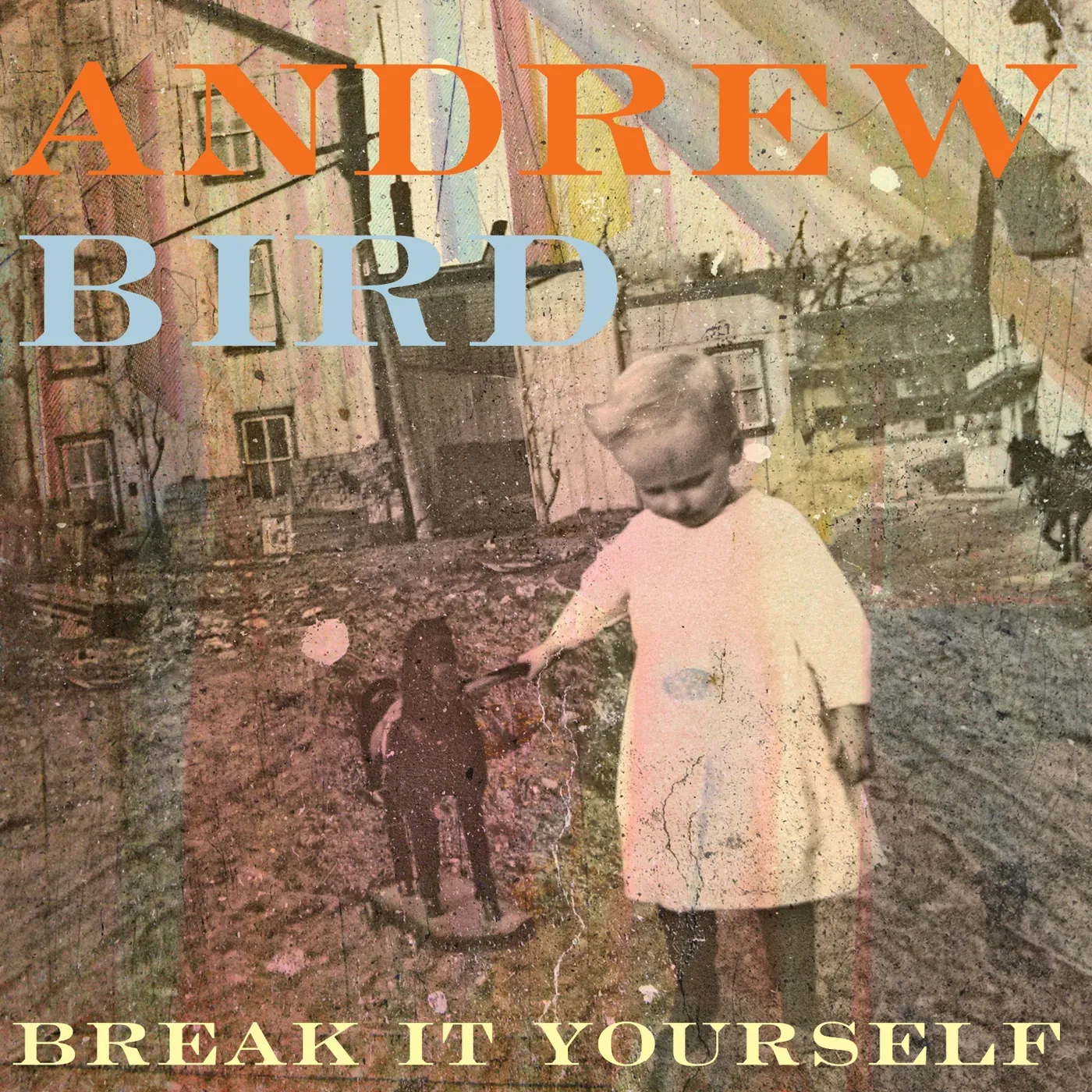 Andrew Bird BREAK IT YOURSELF CD