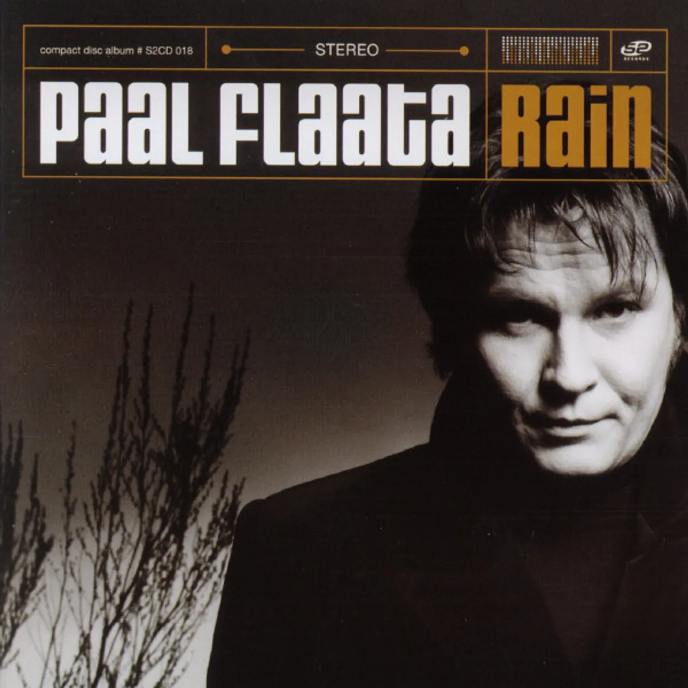 Paal Flaata Rain Vinyl Record
