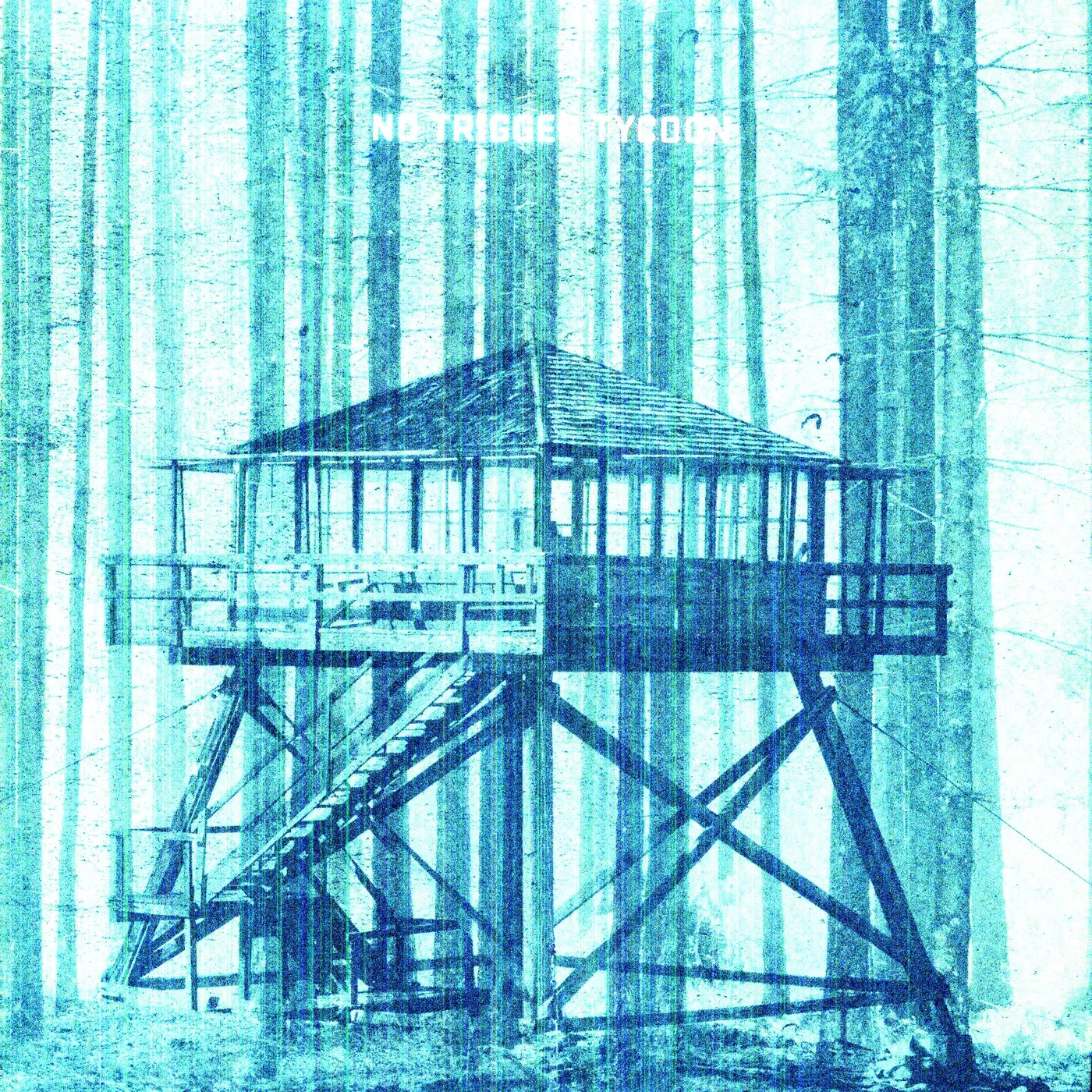 No Trigger Tycoon Vinyl Record