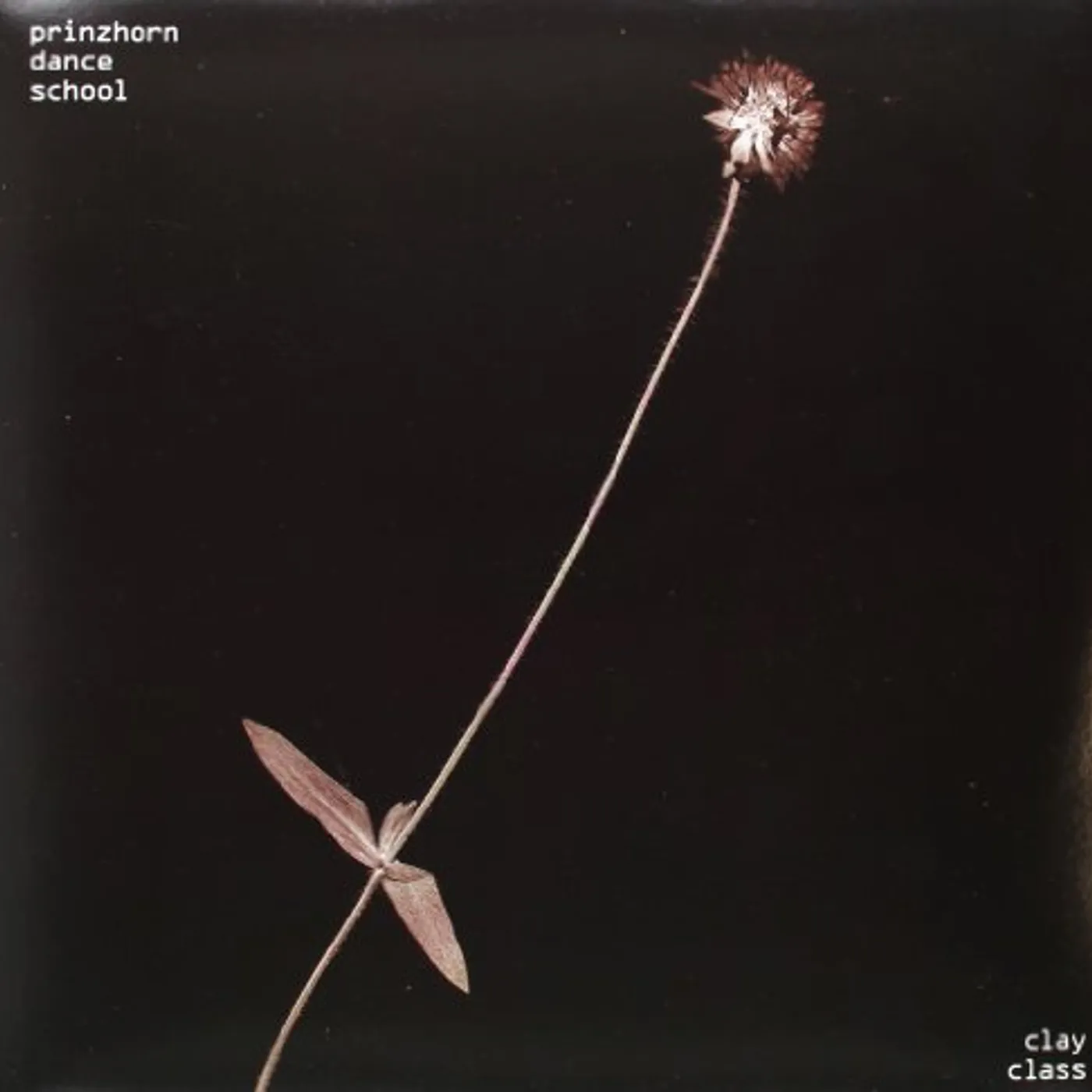 Prinzhorn Dance School Clay Class Vinyl Record