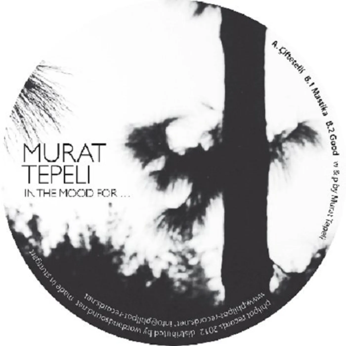 Murat Tepeli IN THE MOOD FOR Vinyl Record