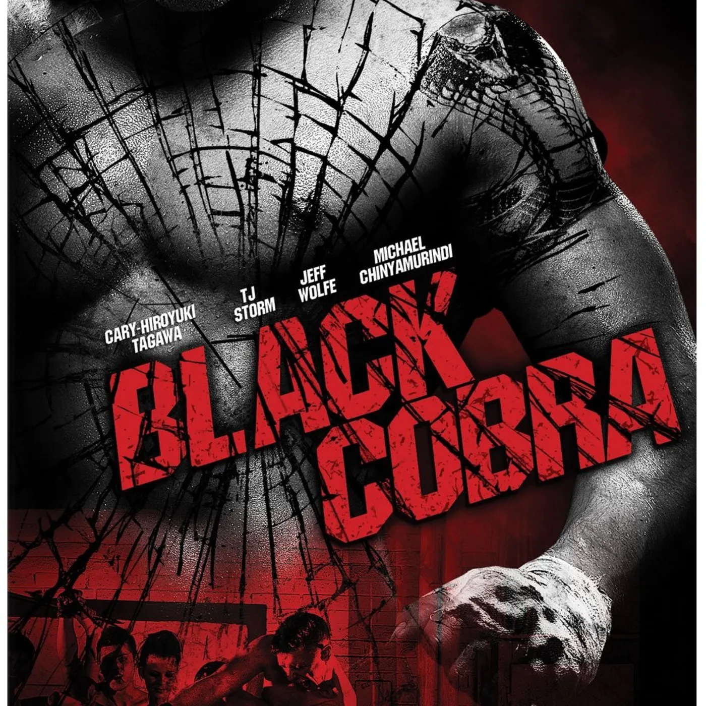 BLACK COBRA DVD
