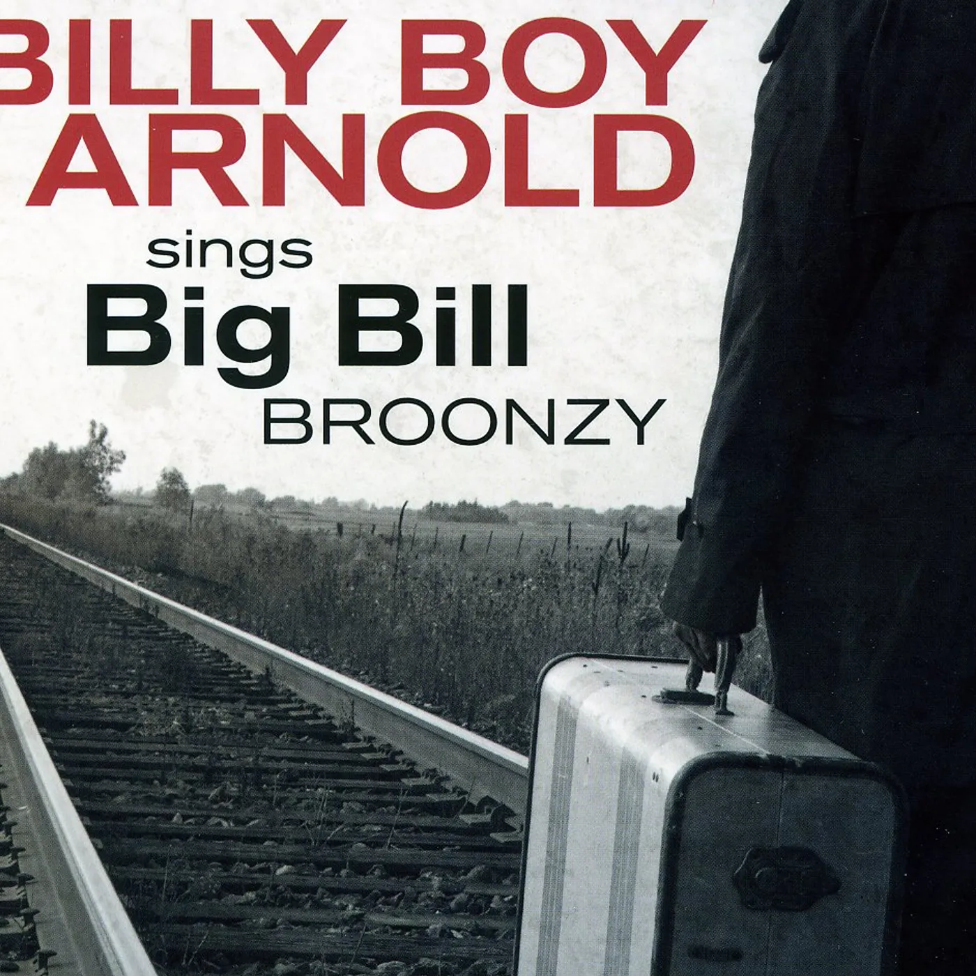 BILLY BOY ARNOLD SINGS BIG BILL BROONZY CD