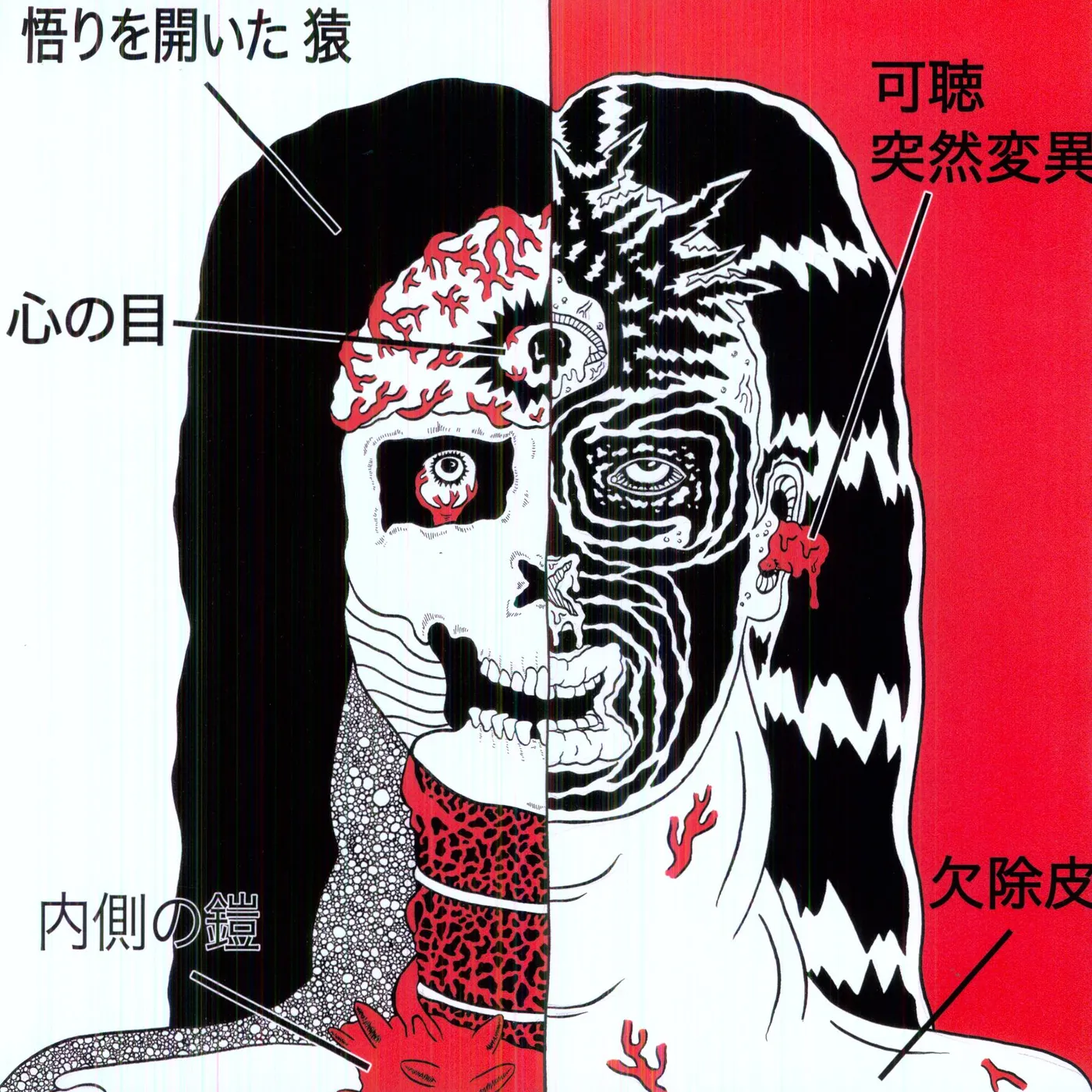 Farflung WHITE HILLS Vinyl Record