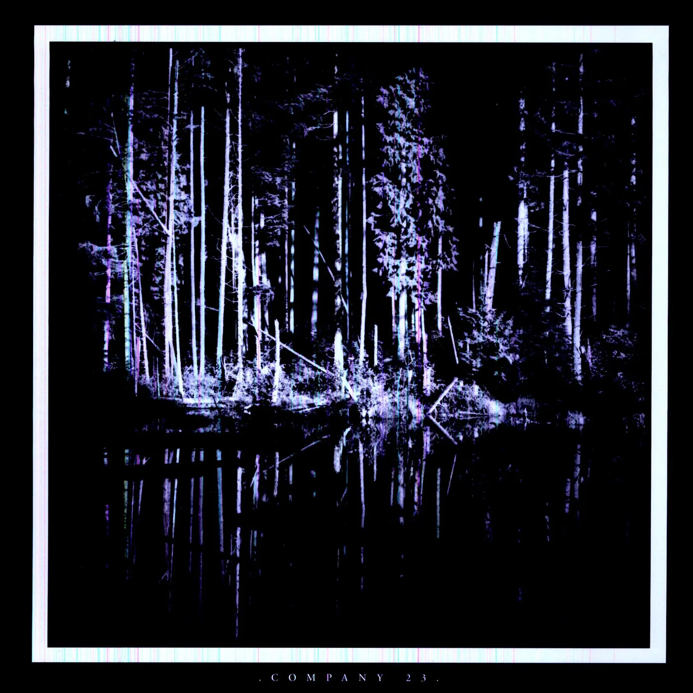 Matt Chamberlain Company 23 Vinyl Record