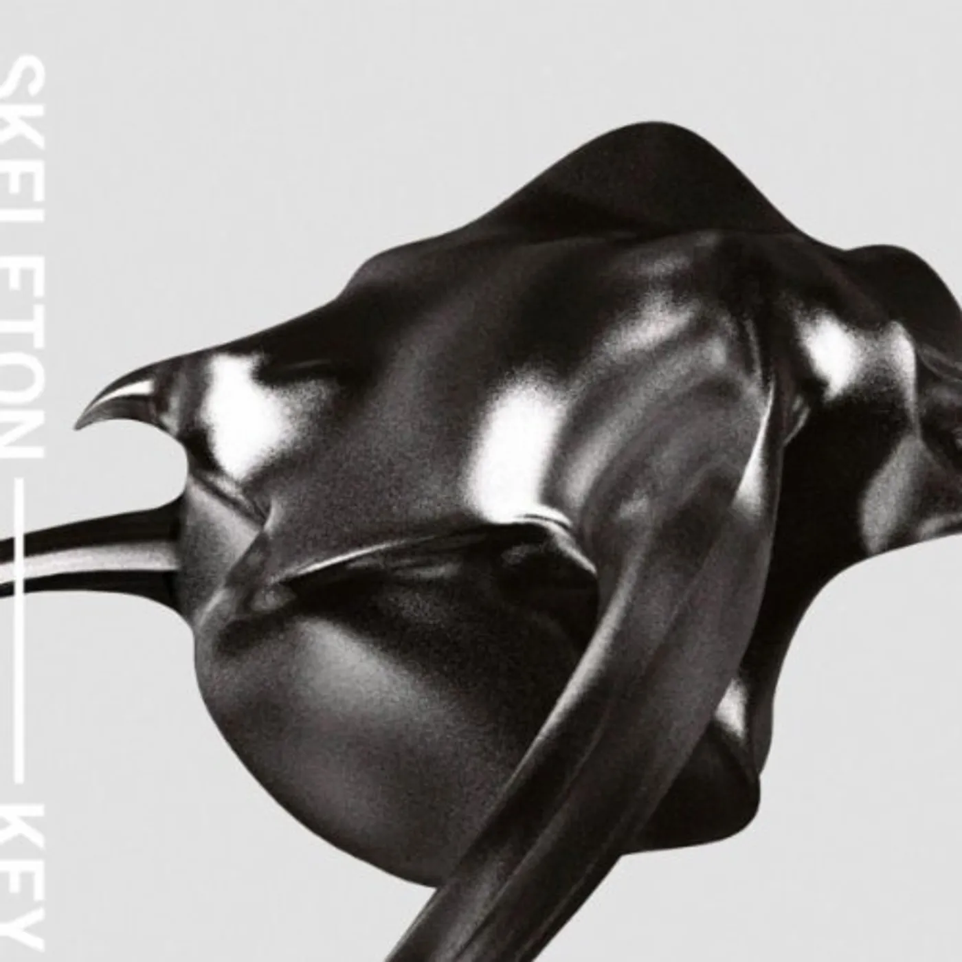 Skeleton Key GRAVITY IS THE ENEMY (BONUS CD) Vinyl Record