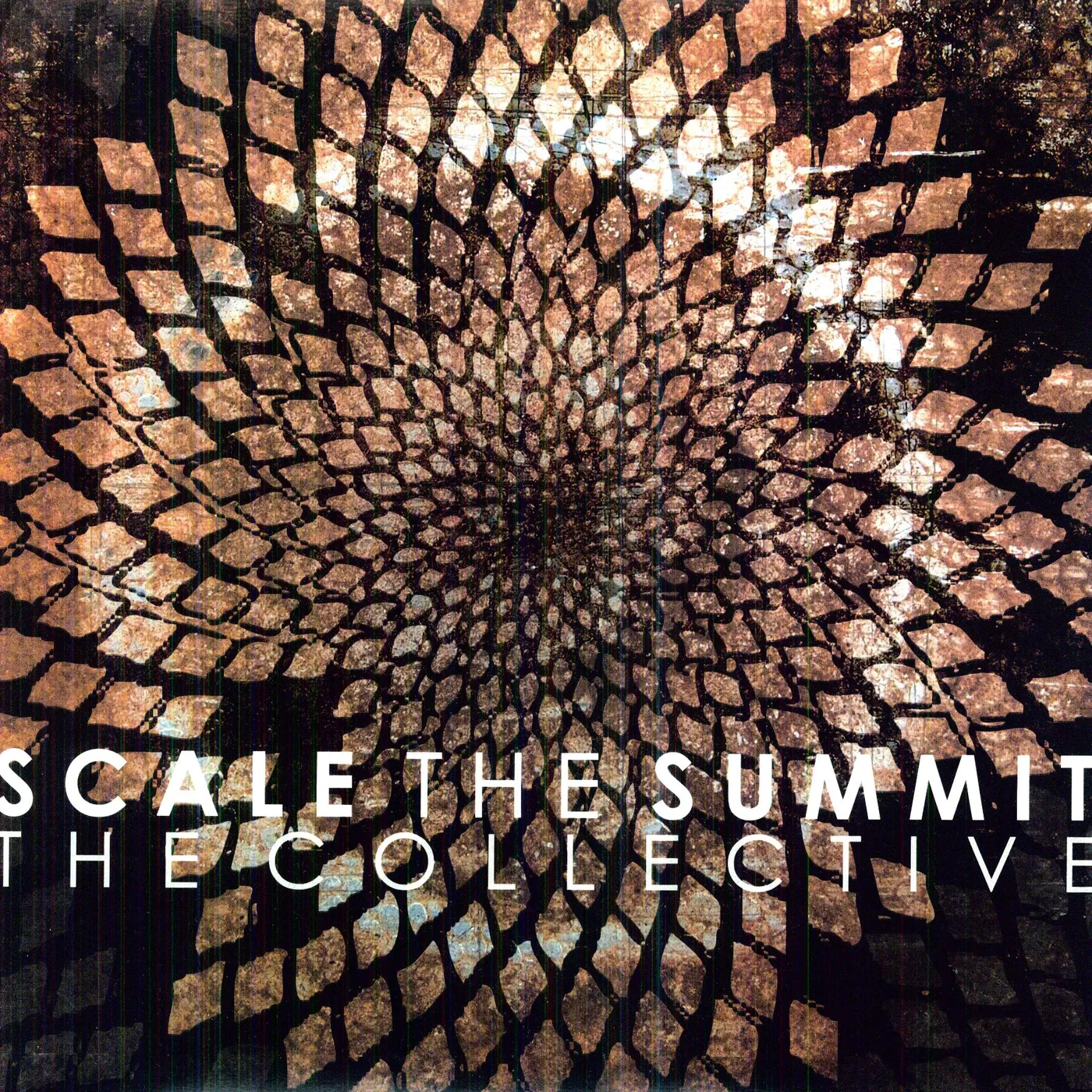 Scale The Summit COLLECTIVE Vinyl Record