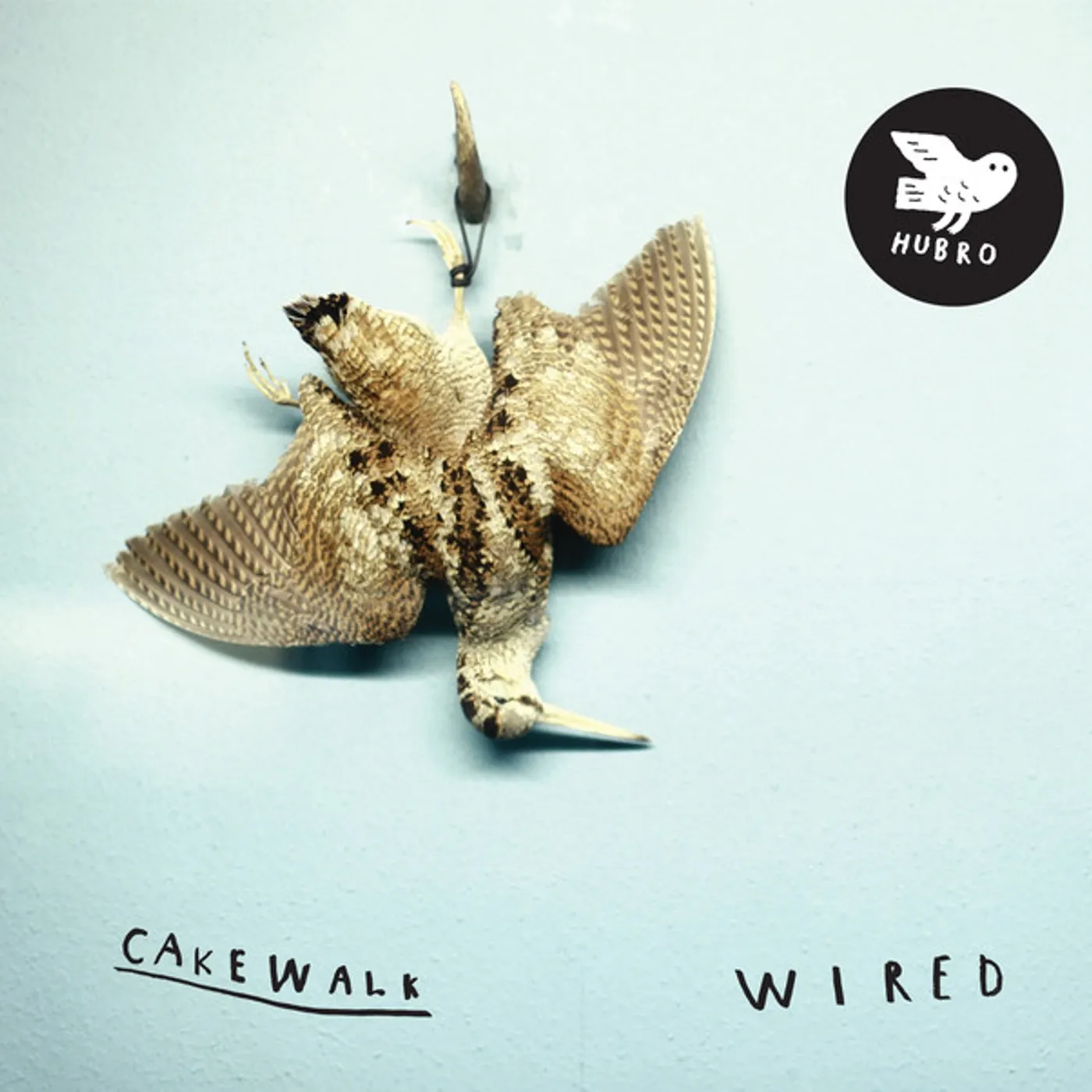 Cakewalk Wired Vinyl Record