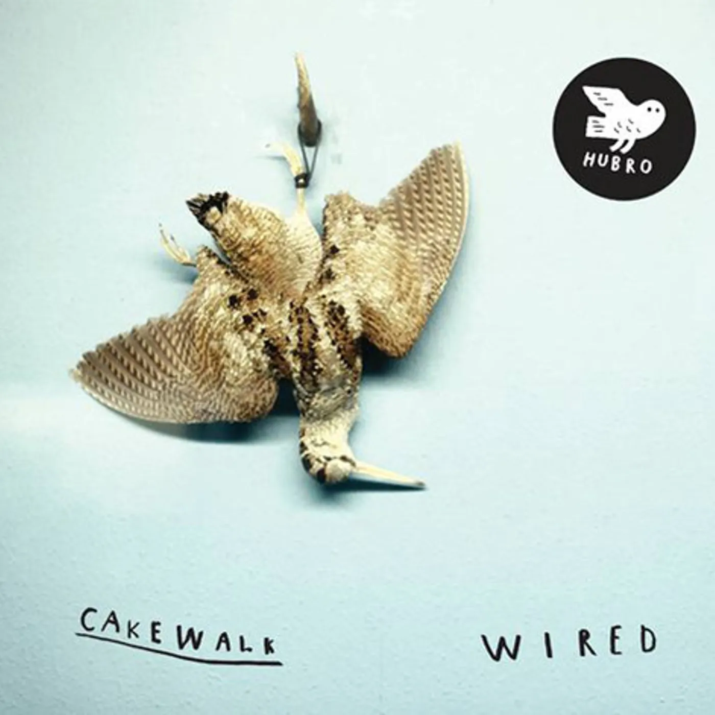 Cakewalk Wired Vinyl Record
