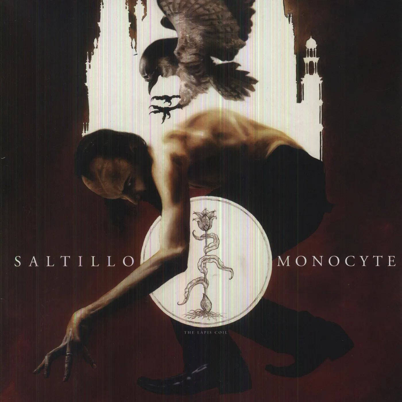 Saltillo MONOCYTE: LAPIS COIL Vinyl Record